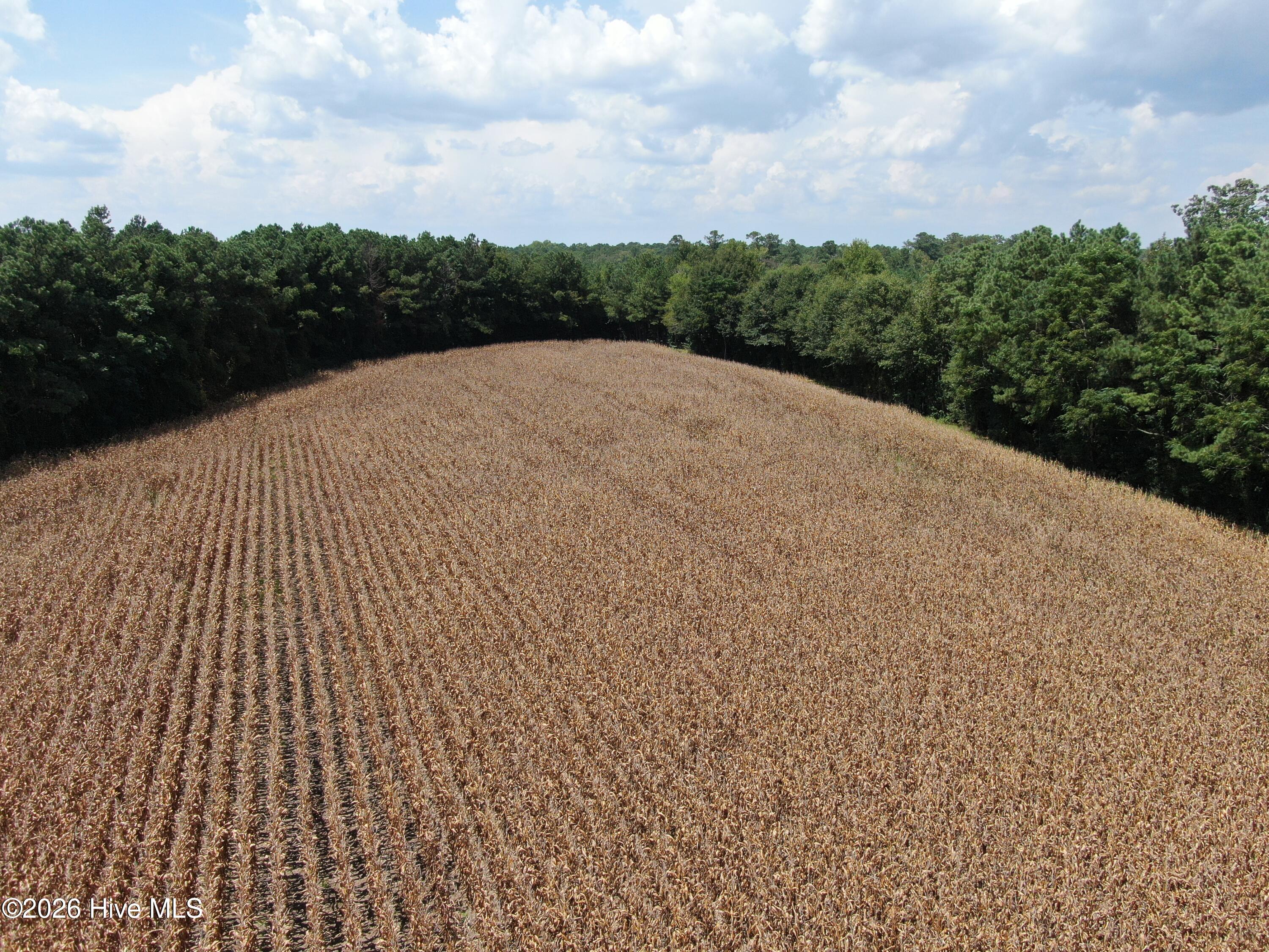 Tbd Pleasant Hope Road Property Photo 17