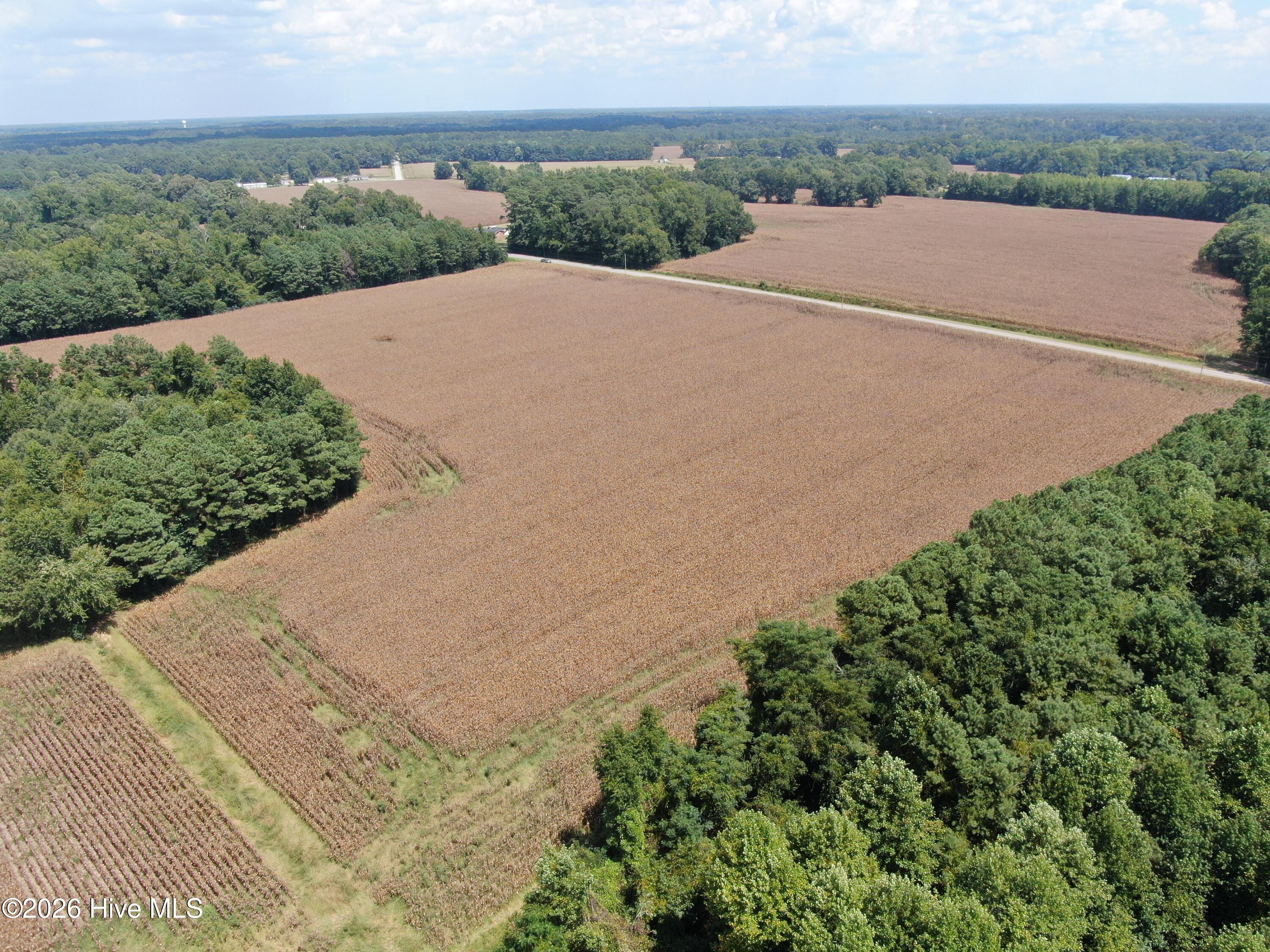 Tbd Pleasant Hope Road Property Photo 18