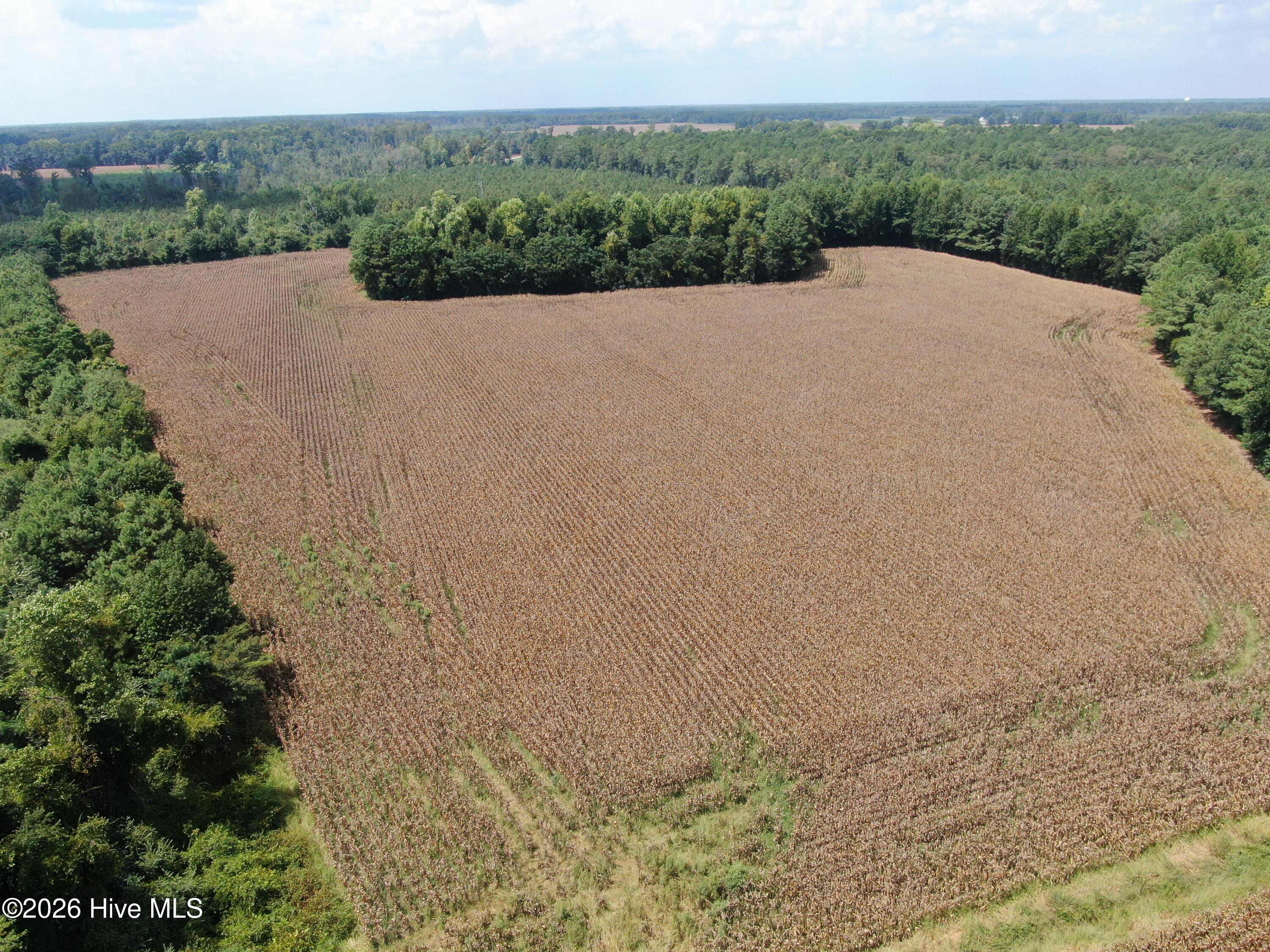 Tbd Pleasant Hope Road Property Photo 19