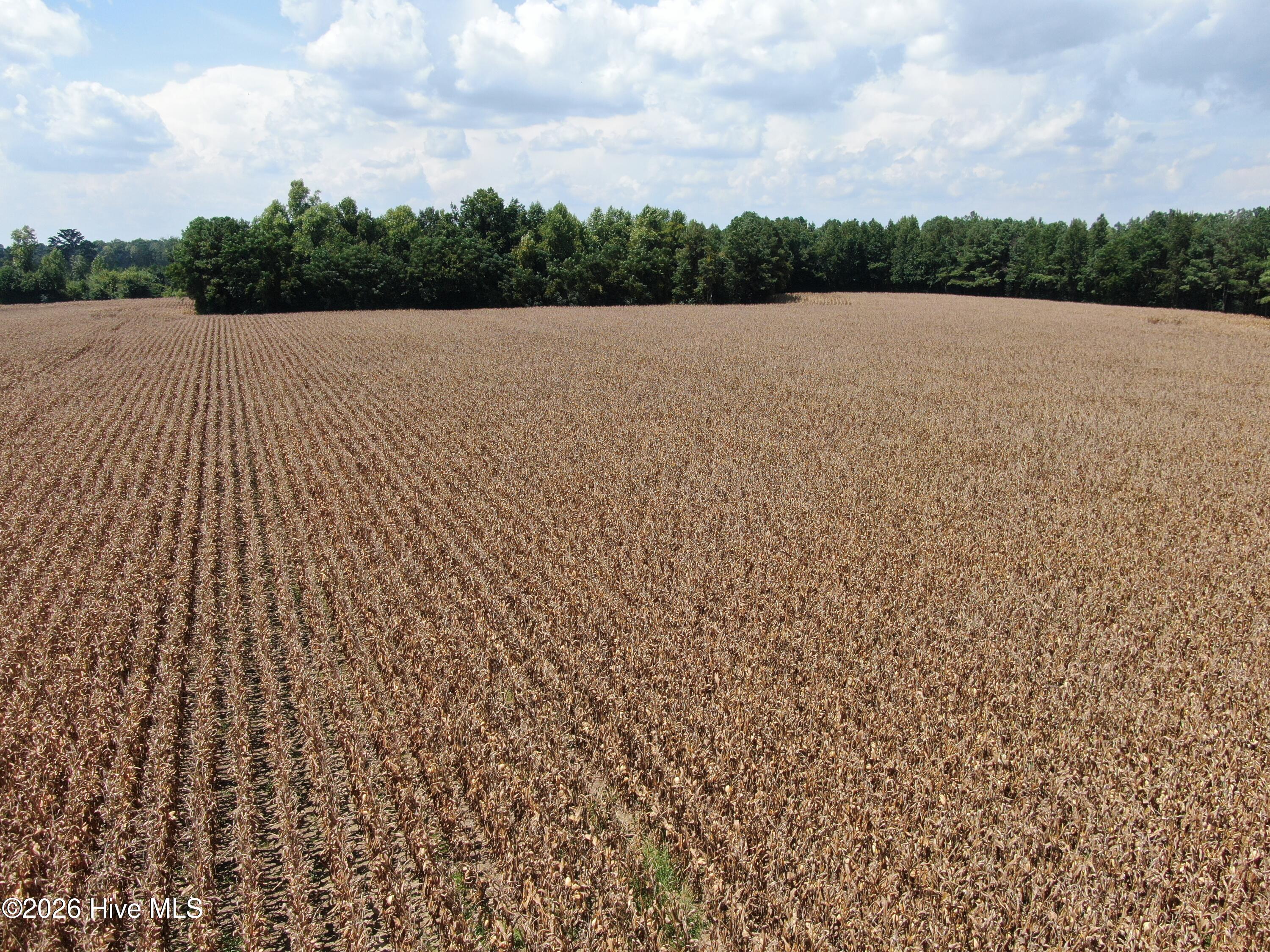 Tbd Pleasant Hope Road Property Photo 20