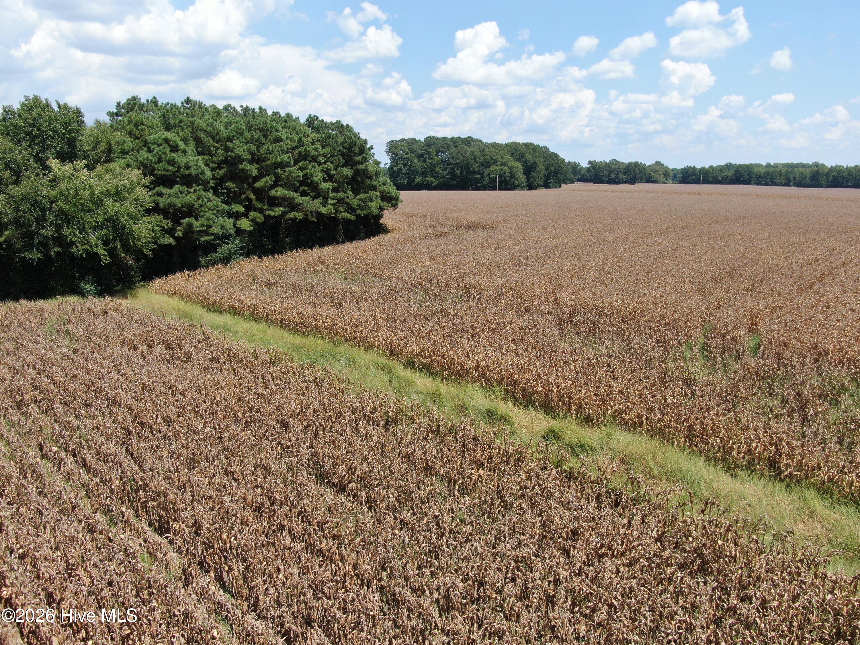 Tbd Pleasant Hope Road Property Photo 21
