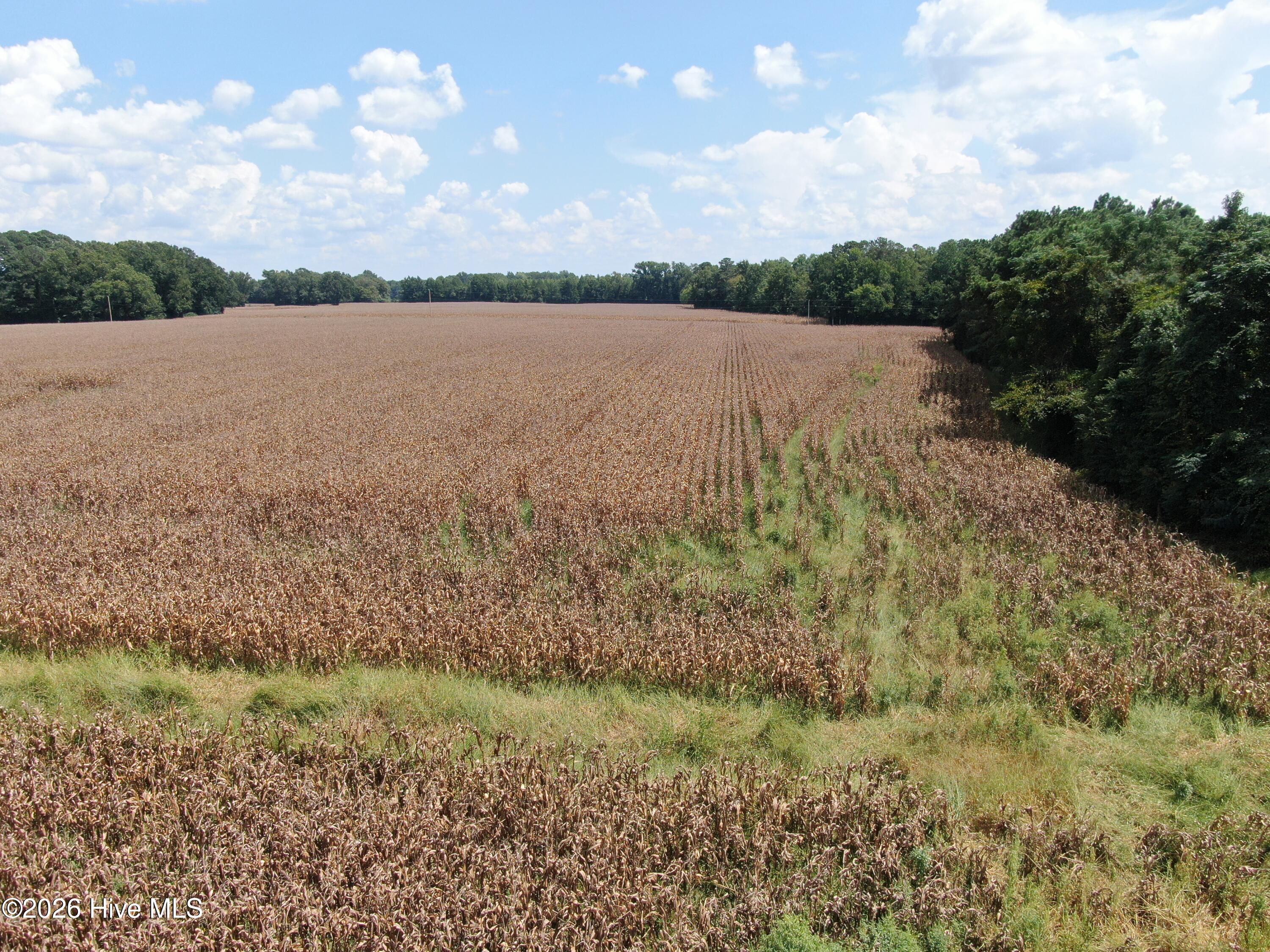 Tbd Pleasant Hope Road Property Photo 22