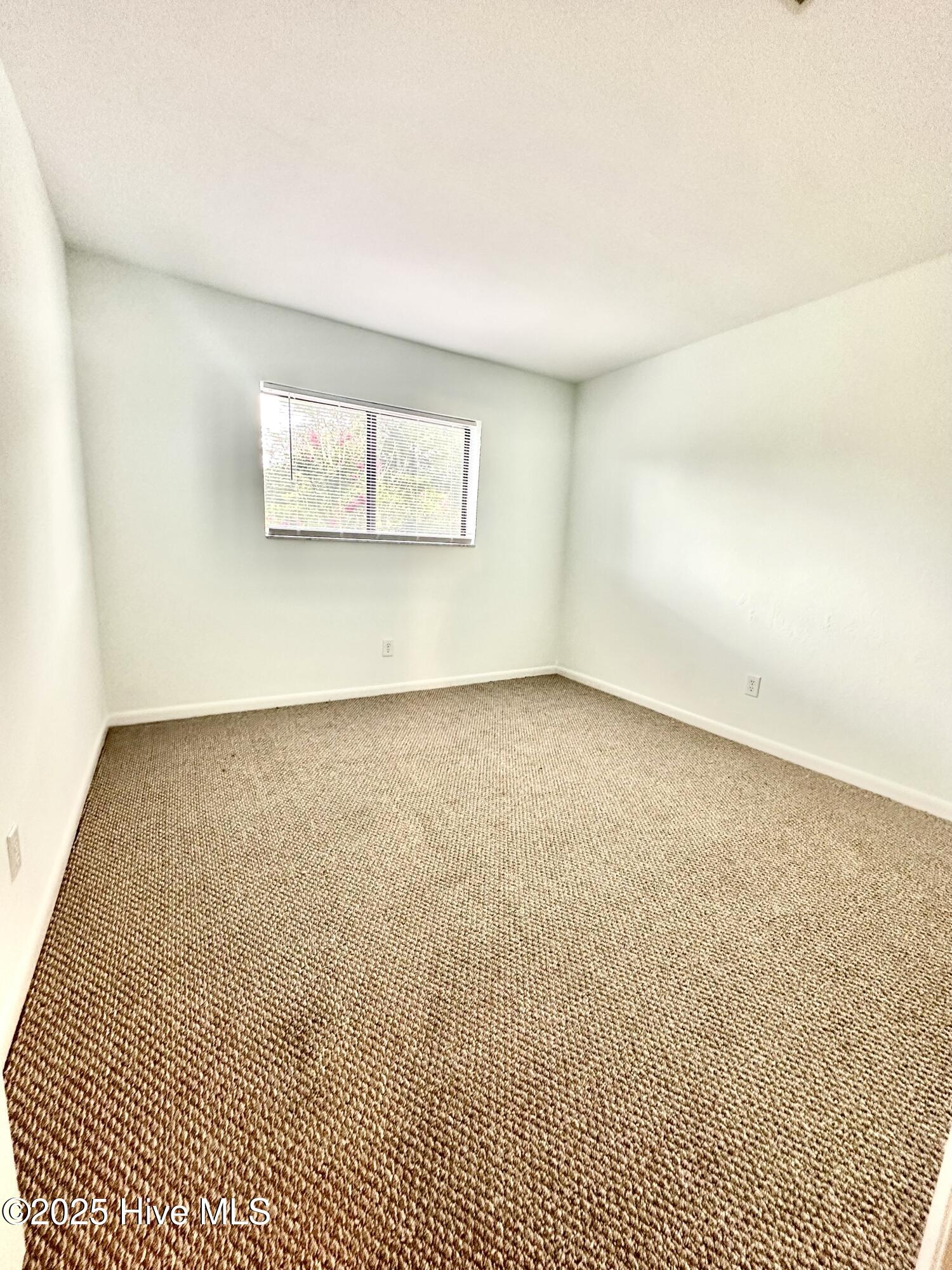 4451 Holly Tree Road Property Photo 13