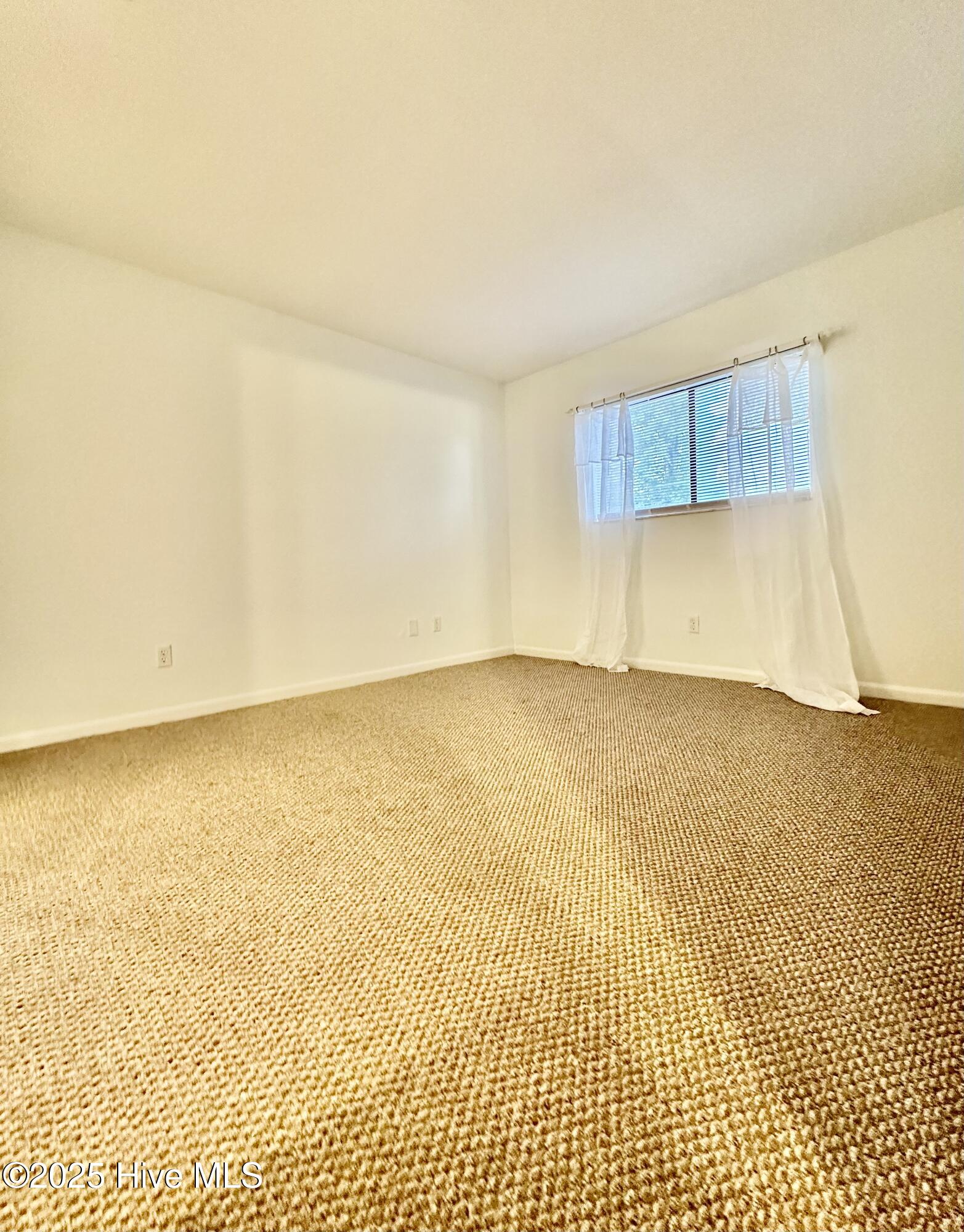 4451 Holly Tree Road Property Photo 15