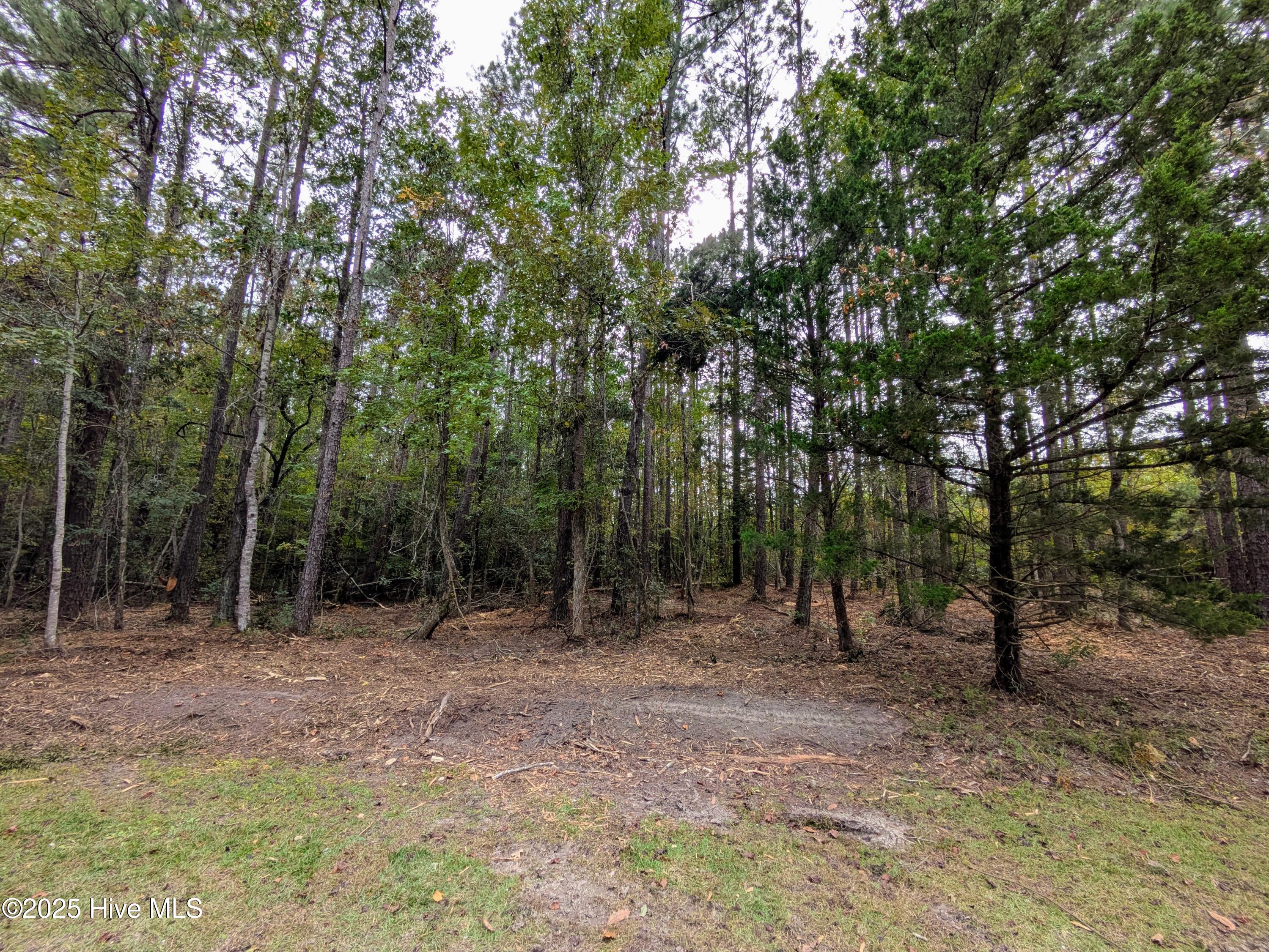238 Mill Creek Road Property Photo 19