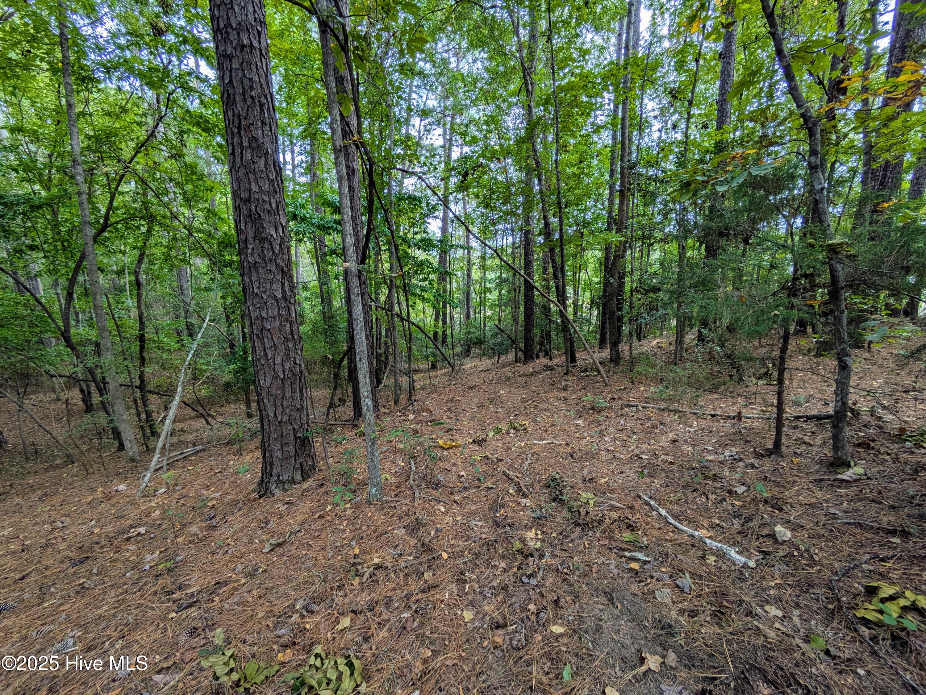 238 Mill Creek Road Property Photo 21