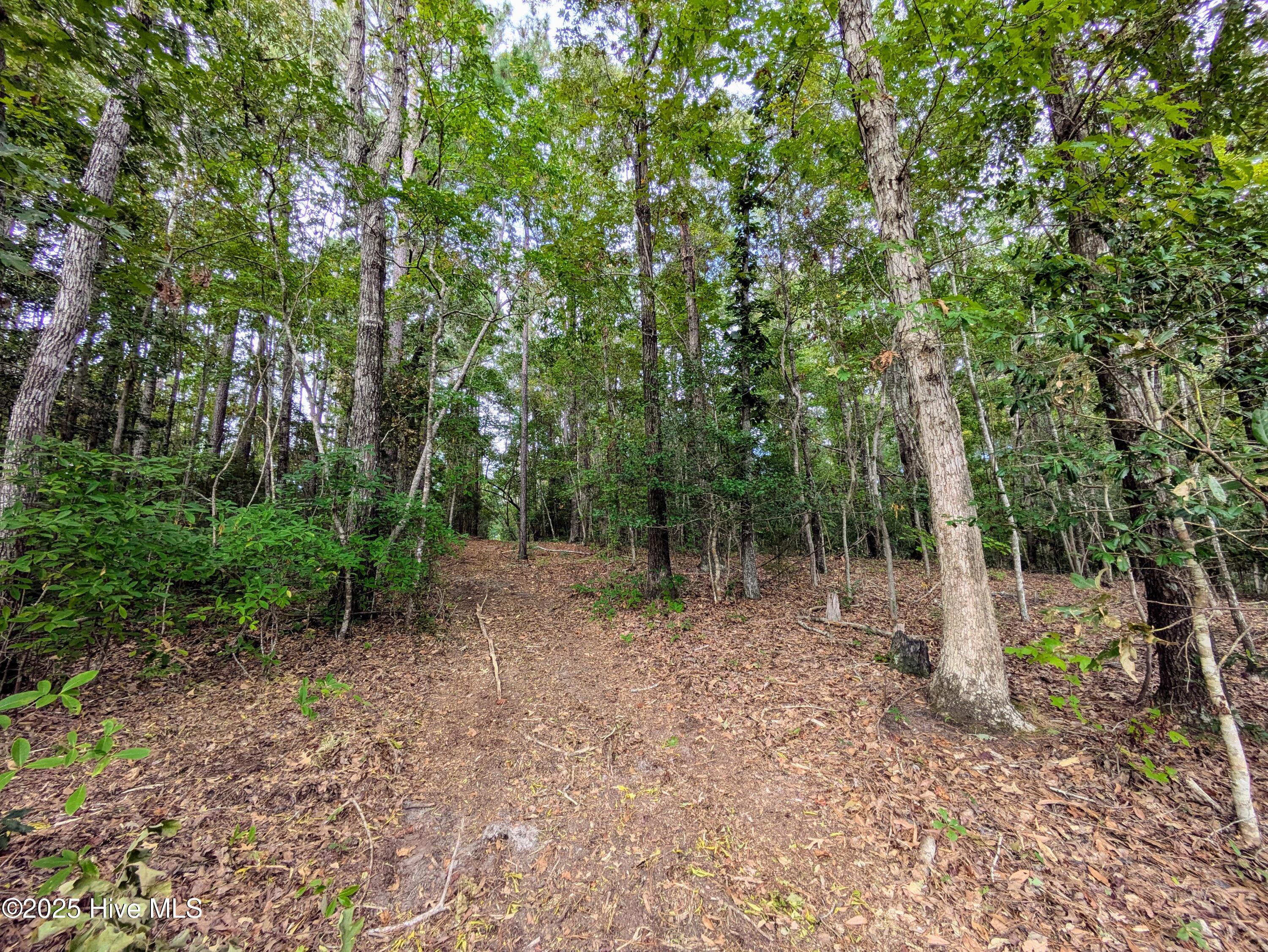 238 Mill Creek Road Property Photo 22