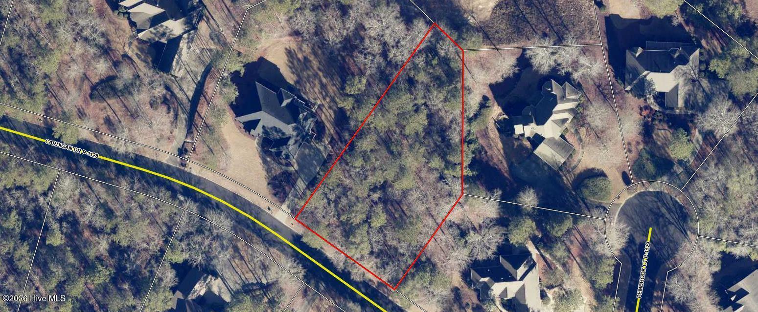 2101 Cardigan Drive Property Photo 9