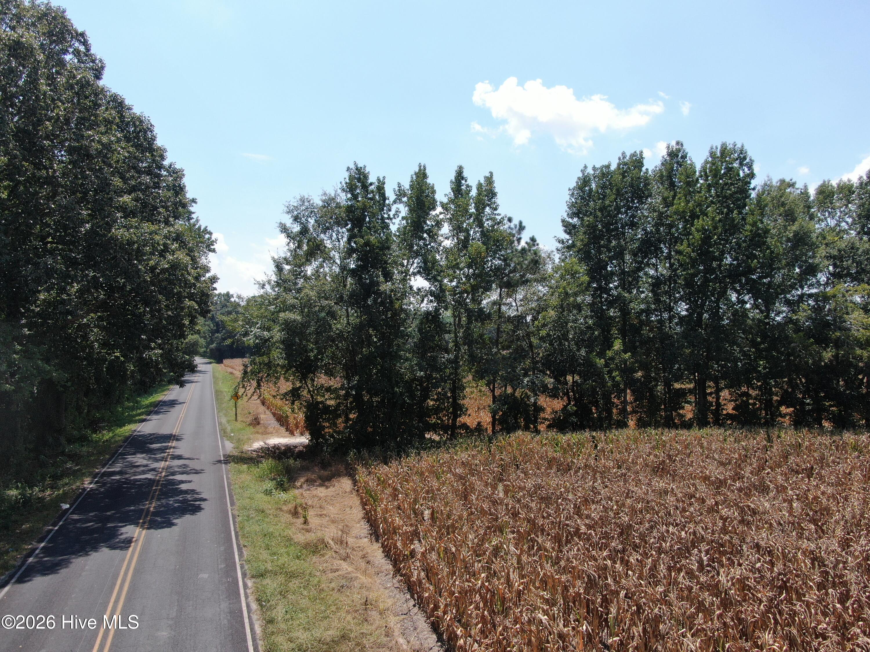 Tbd Nc 41 Property Photo 4