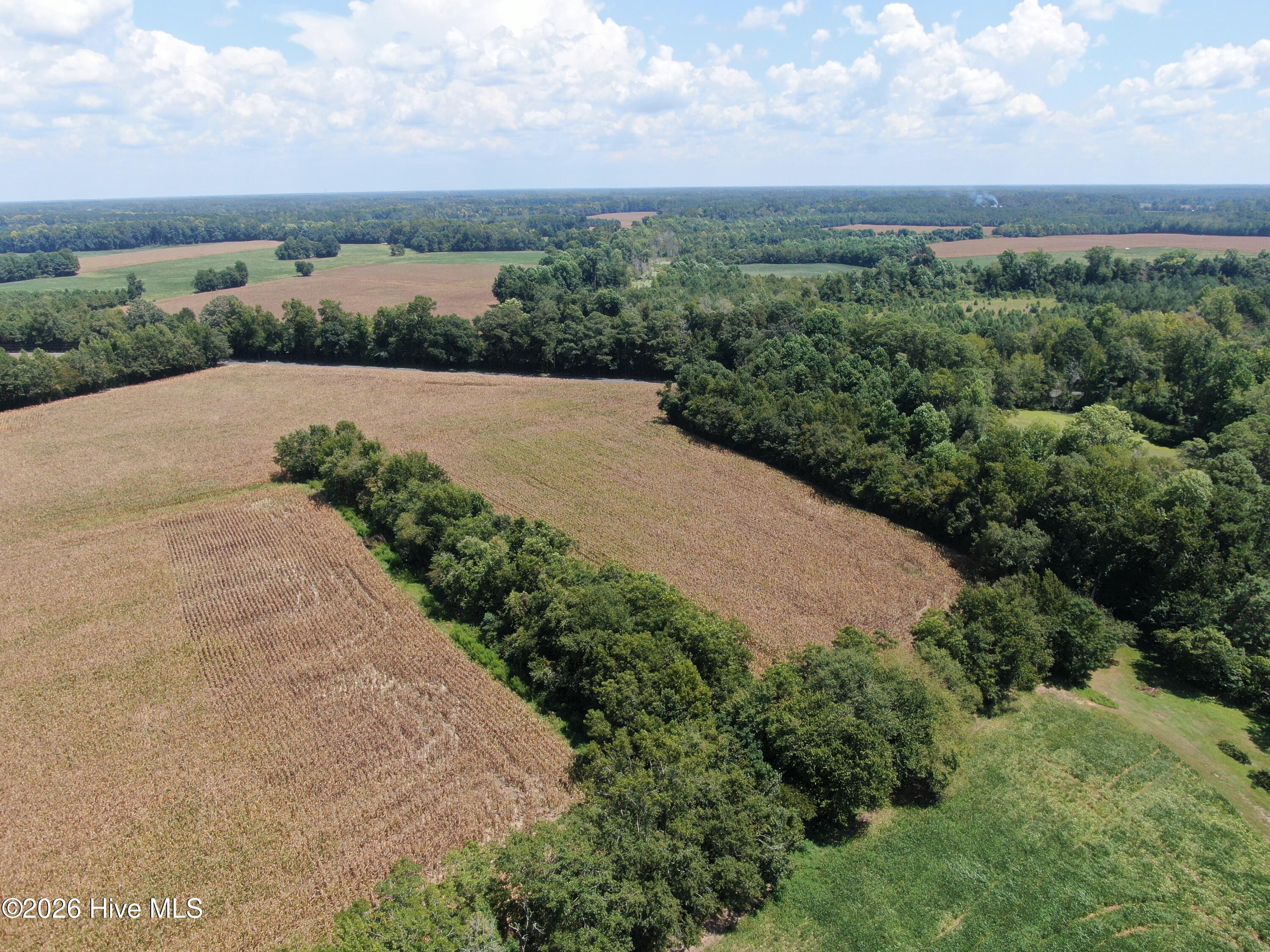 Tbd Nc 41 Property Photo 13