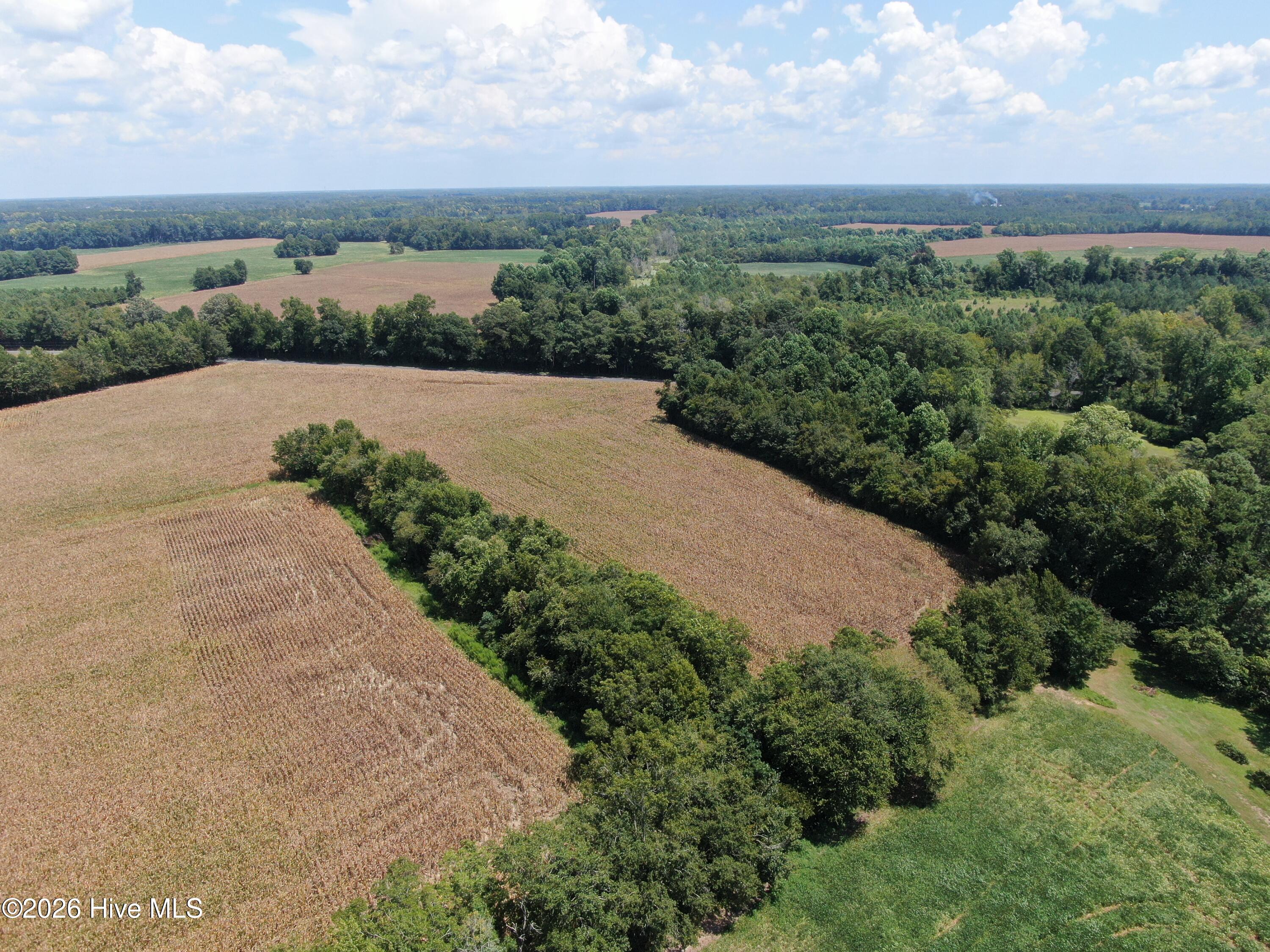 Tbd Nc 41 Property Photo 14