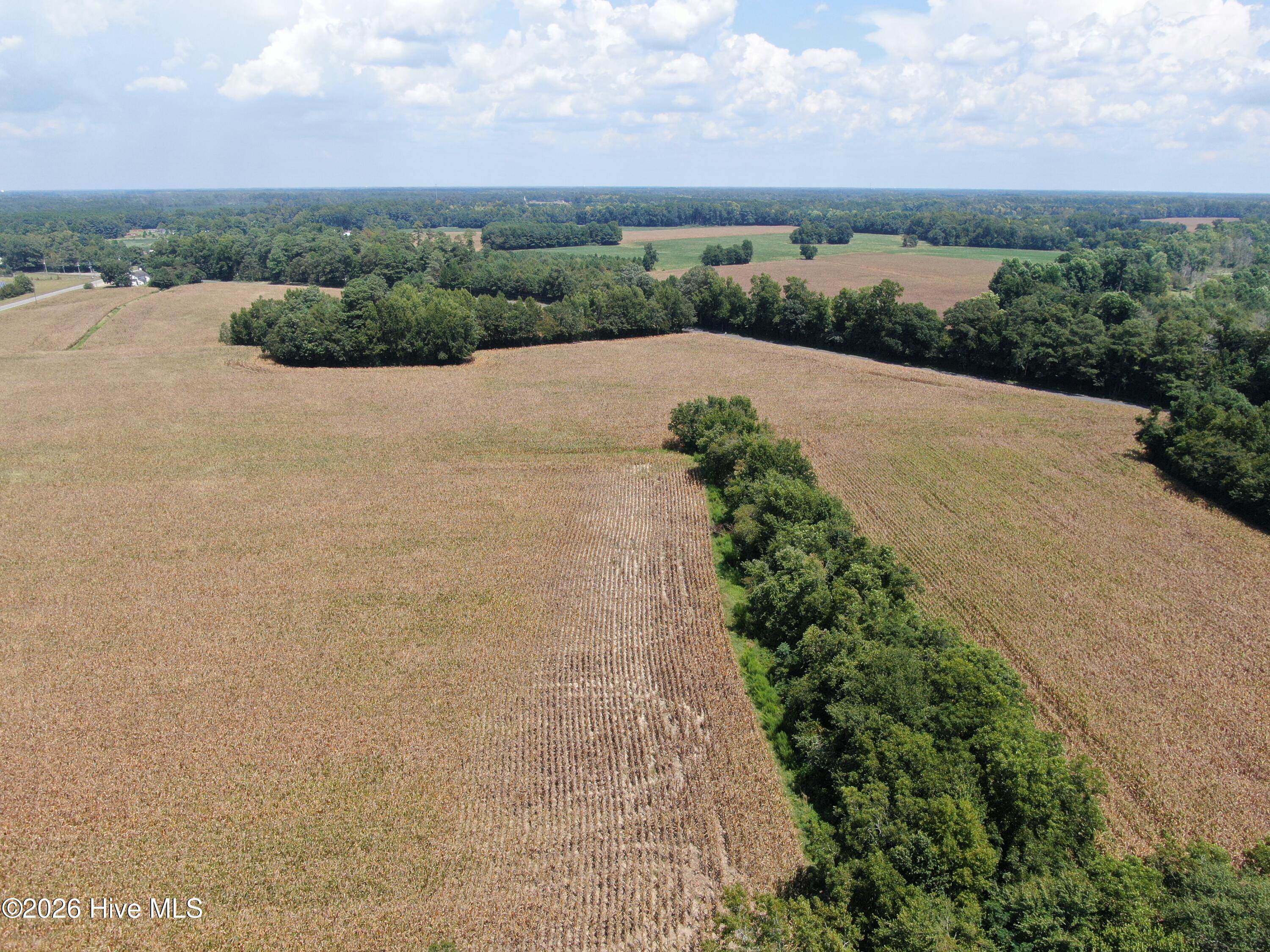 Tbd Nc 41 Property Photo 17