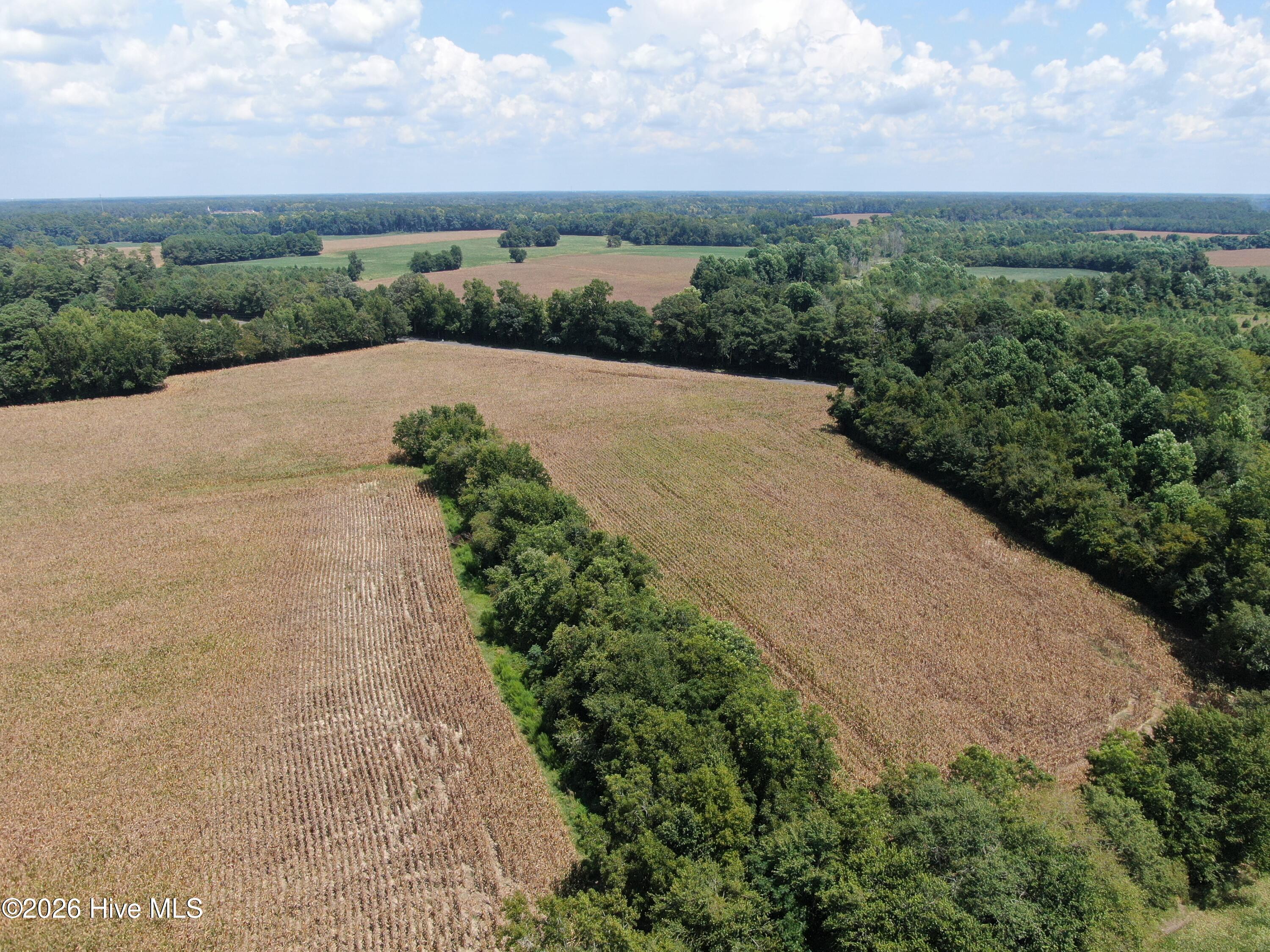 Tbd Nc 41 Property Photo 18