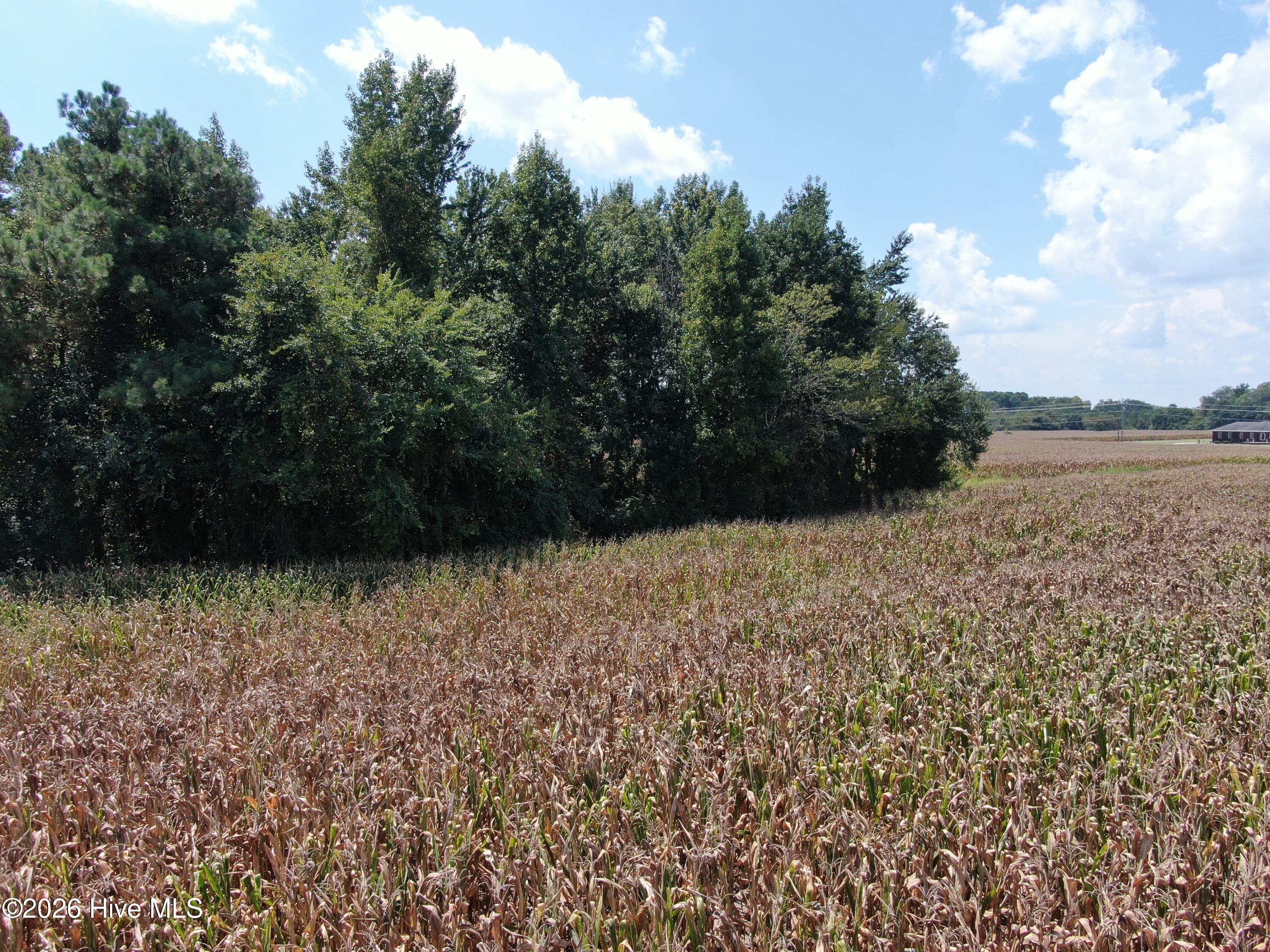 Tbd Nc 41 Property Photo 25