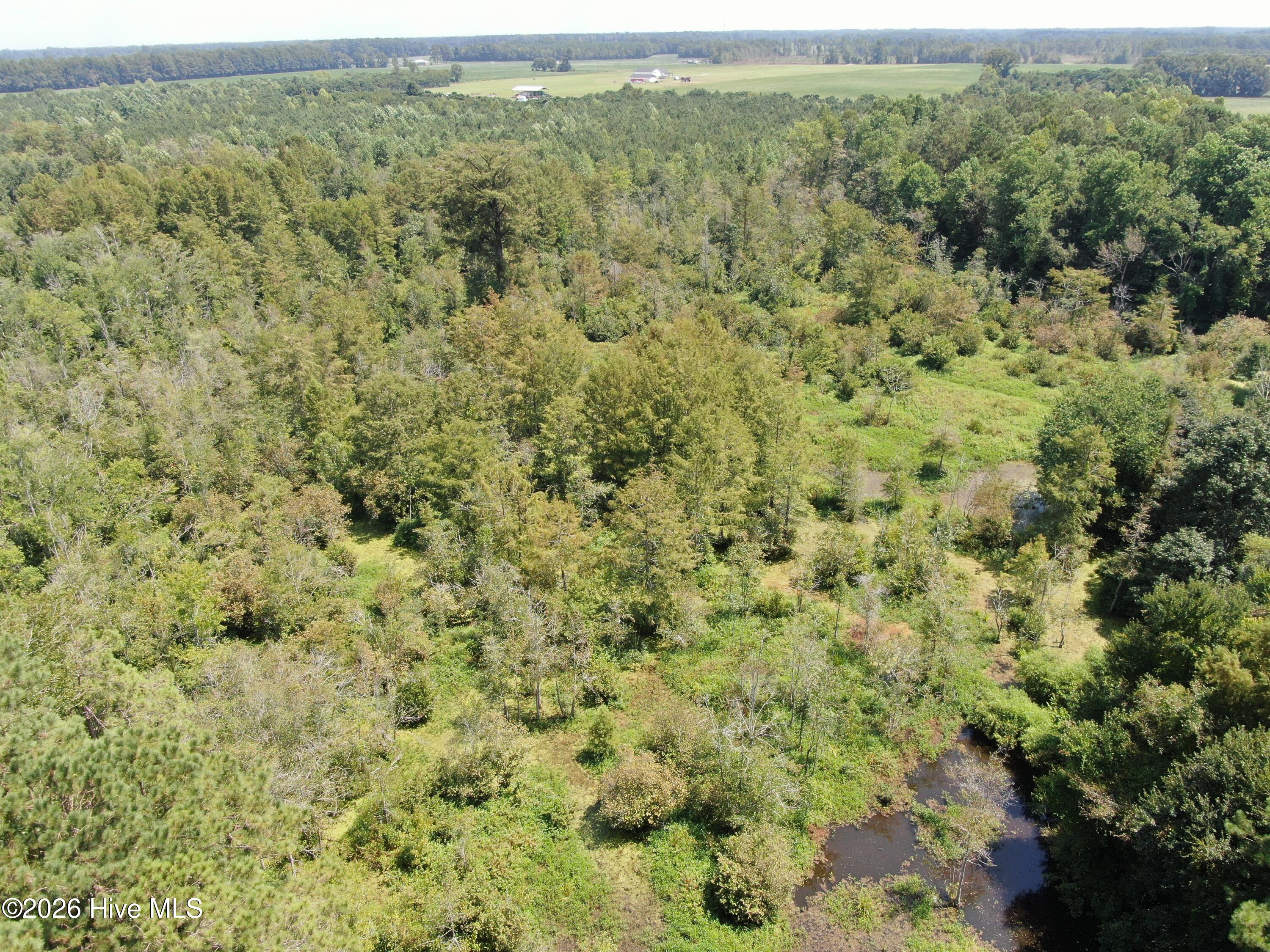 Tbd Fairgrove Road Property Photo 9