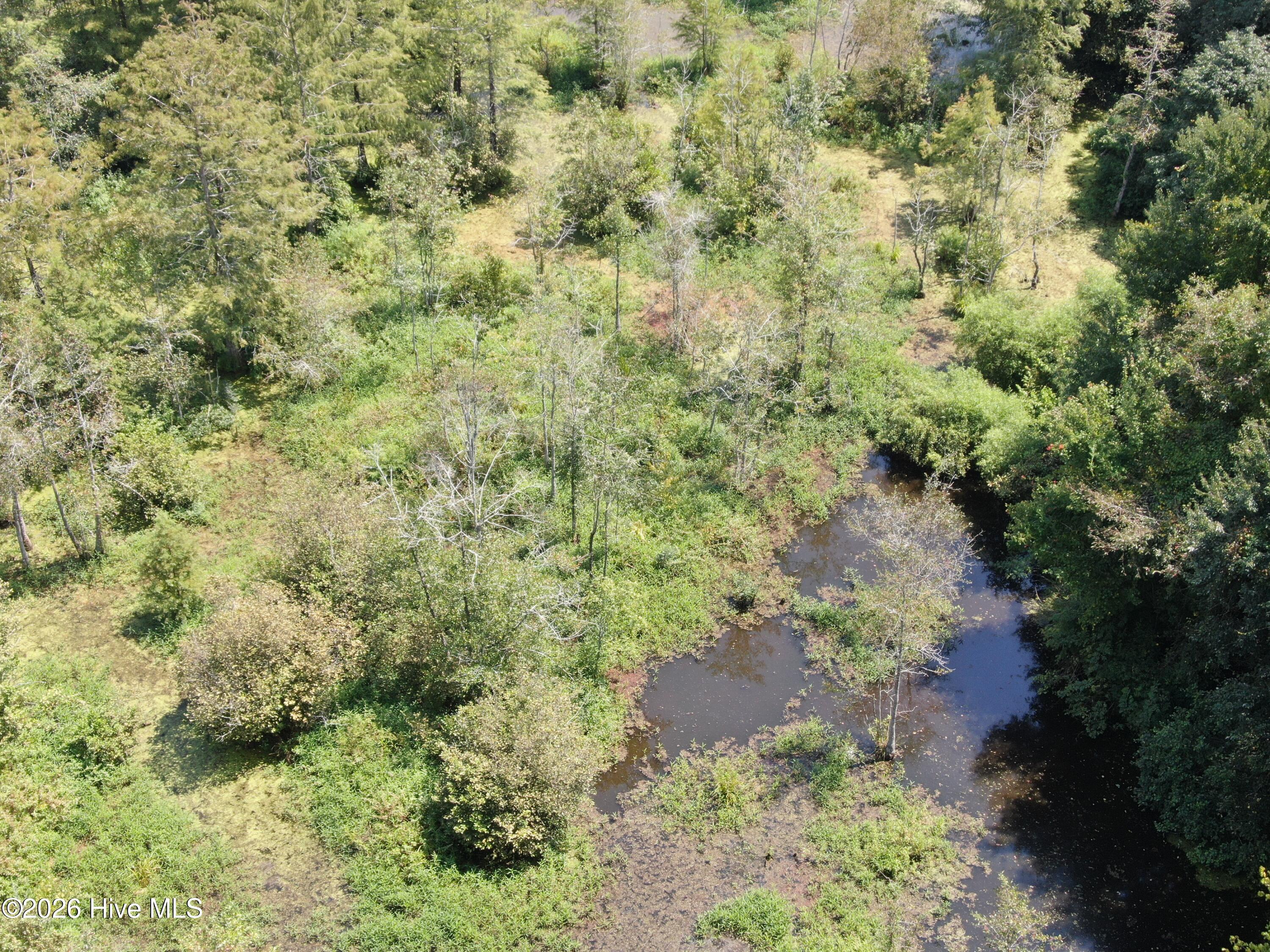 Tbd Fairgrove Road Property Photo 11