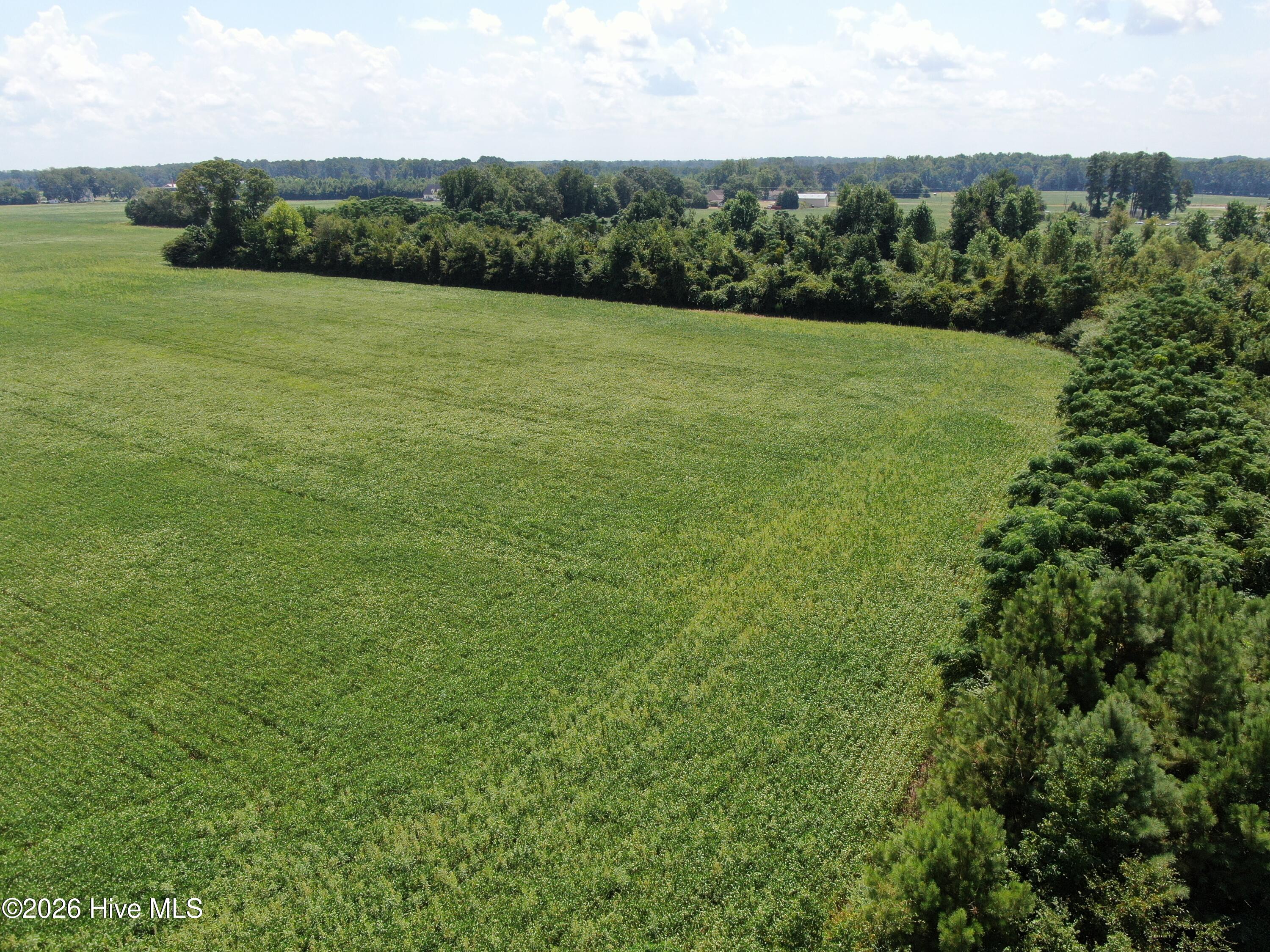 Tbd Fairgrove Road Property Photo 15