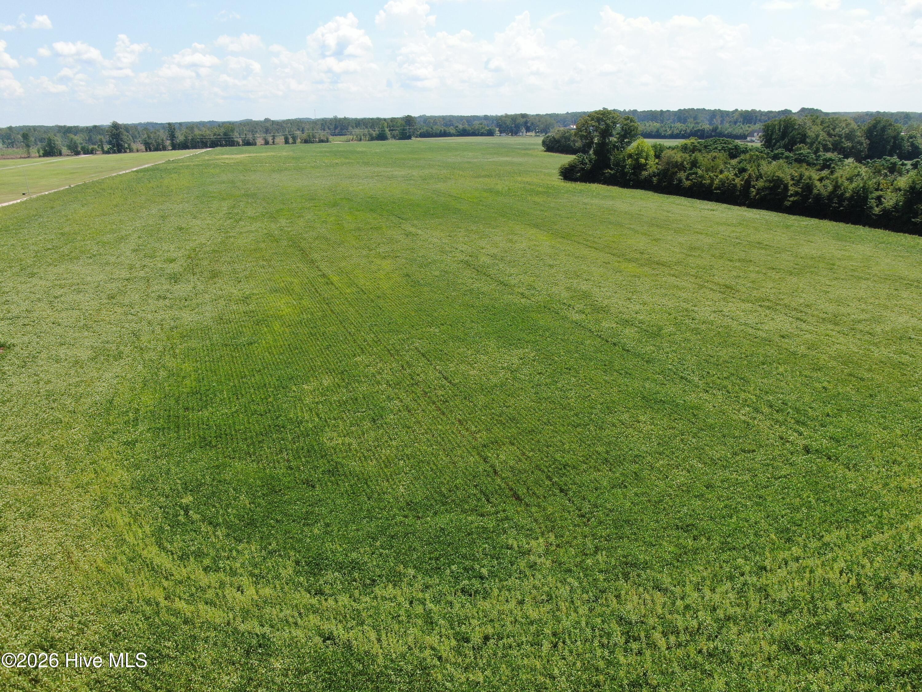 Tbd Fairgrove Road Property Photo 16