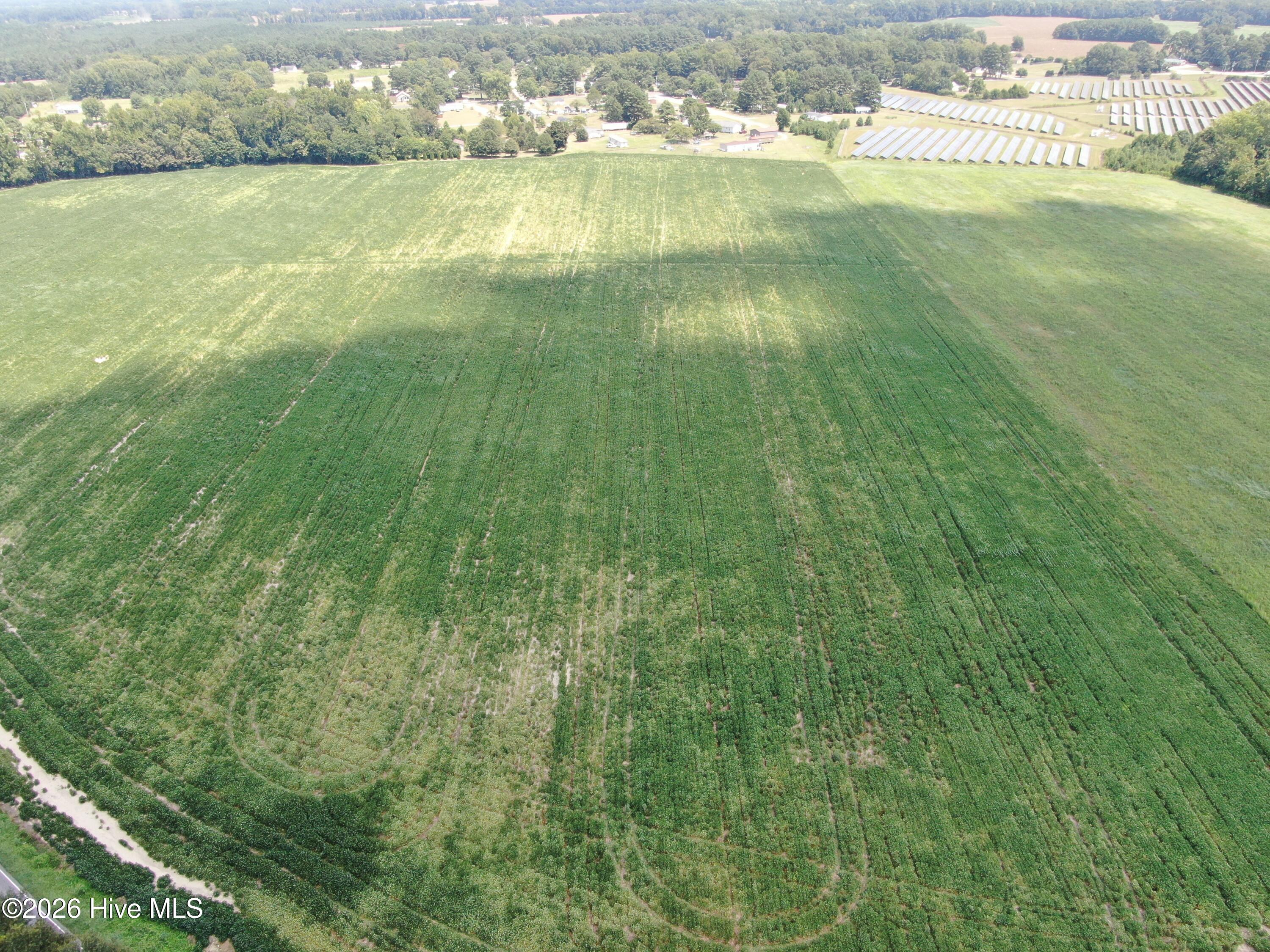 Tbd Chicken Road Property Photo 5