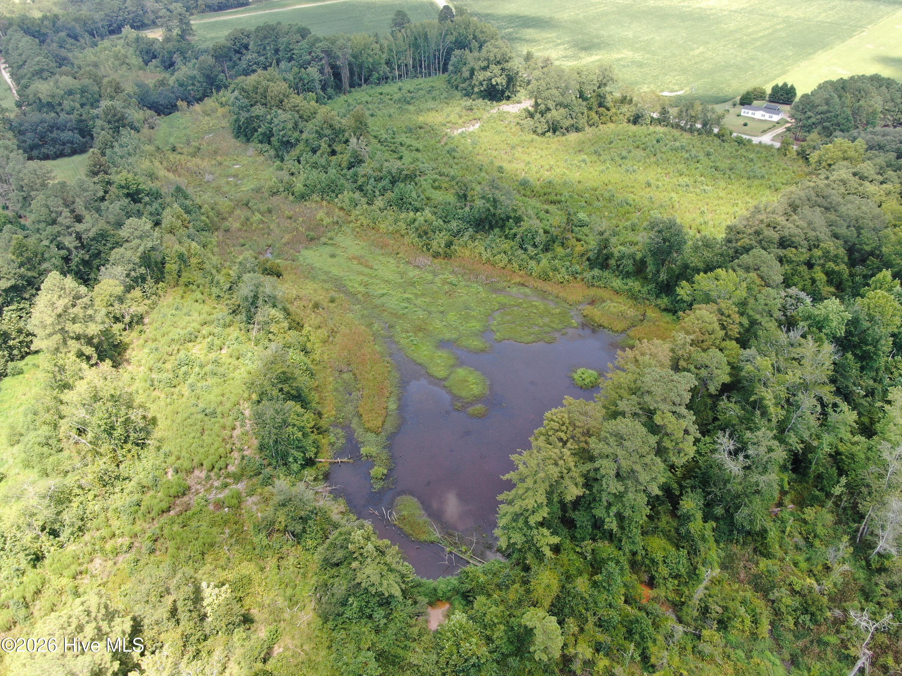 Tbd Chicken Road Property Photo 16