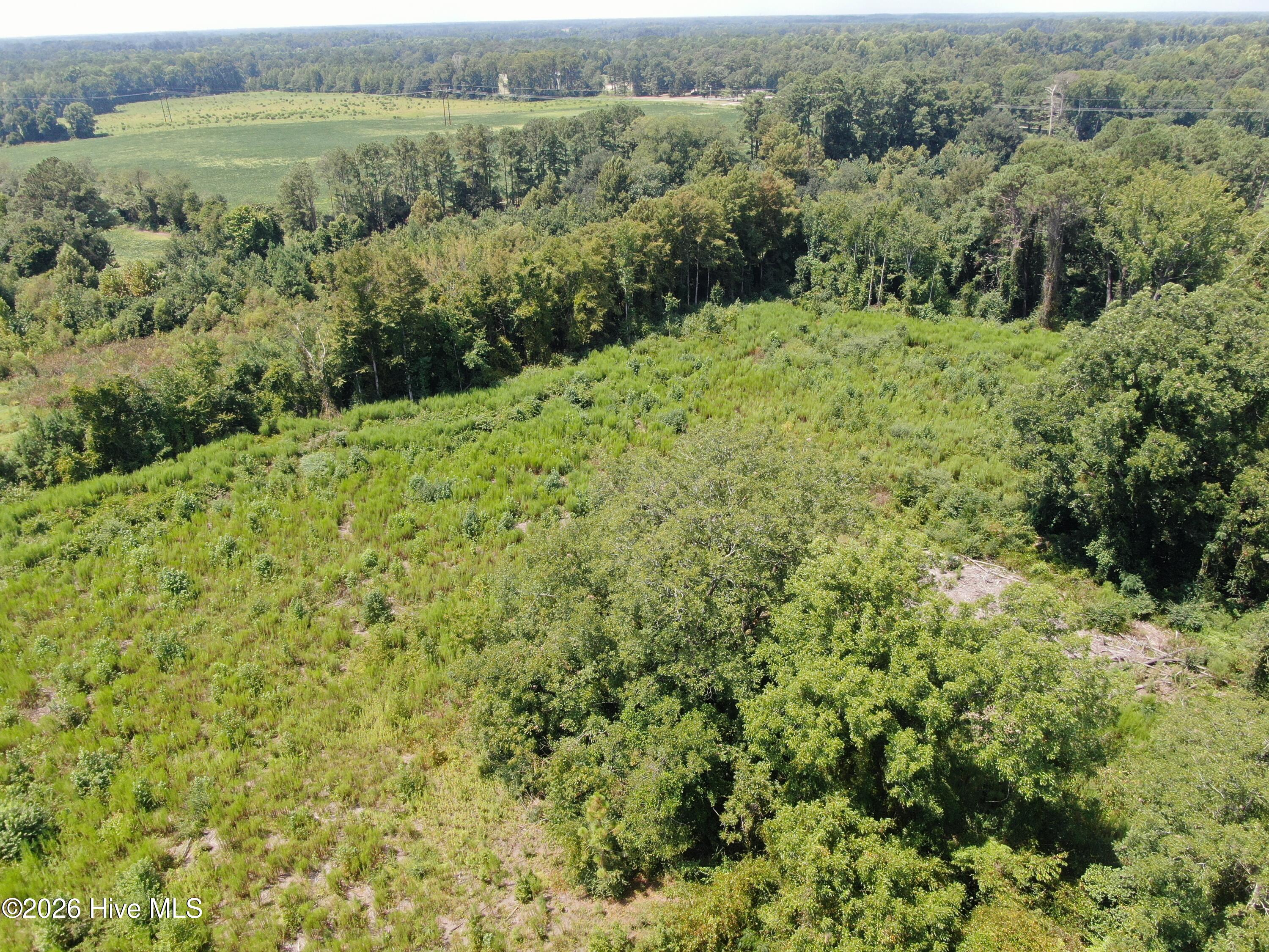 Tbd Chicken Road Property Photo 29