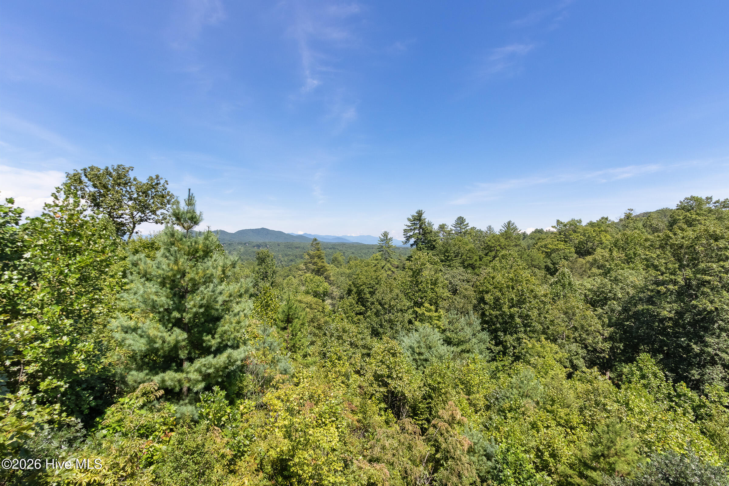 455 Point Overlook Trail Property Photo 25