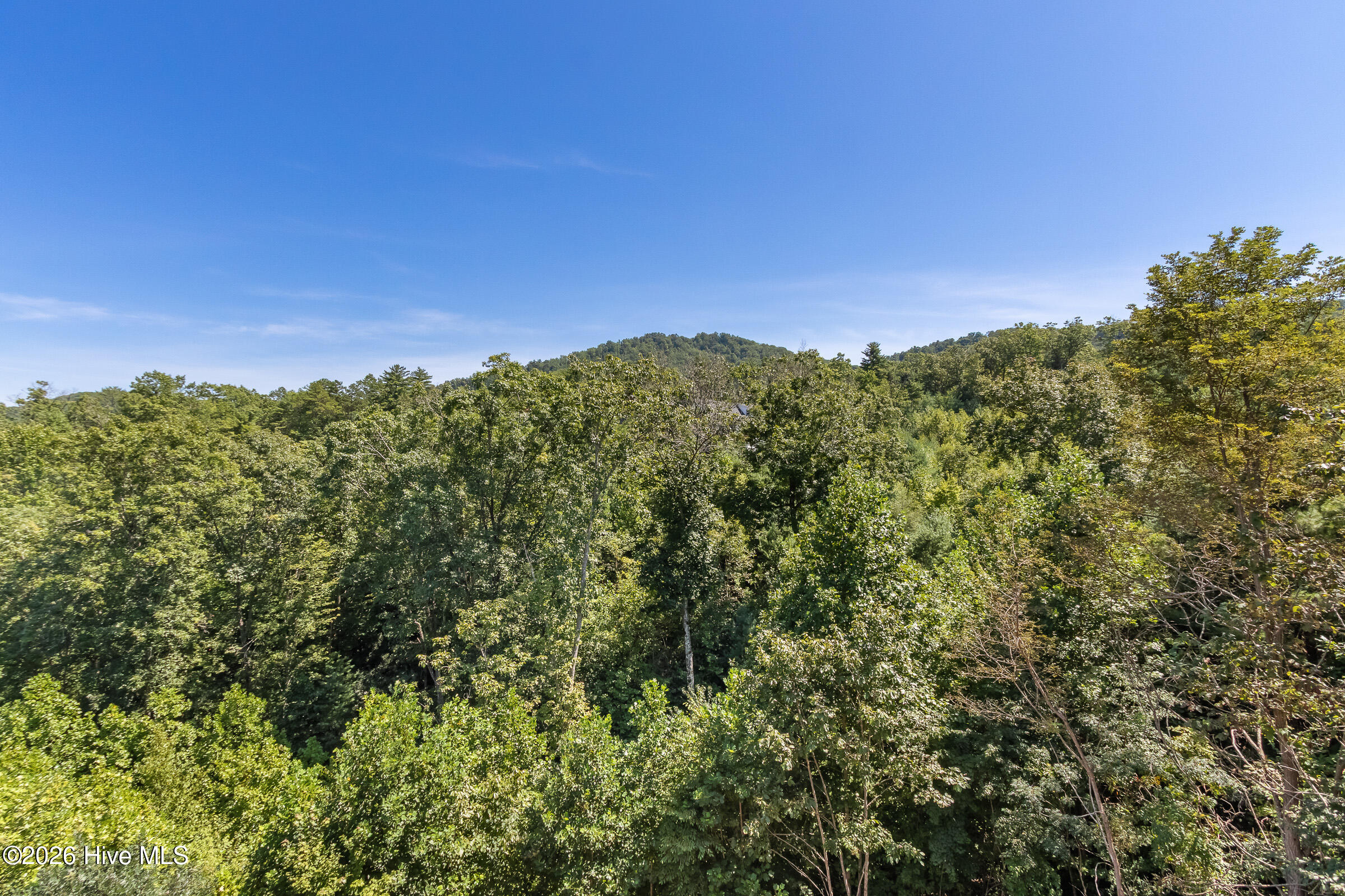 455 Point Overlook Trail Property Photo 51