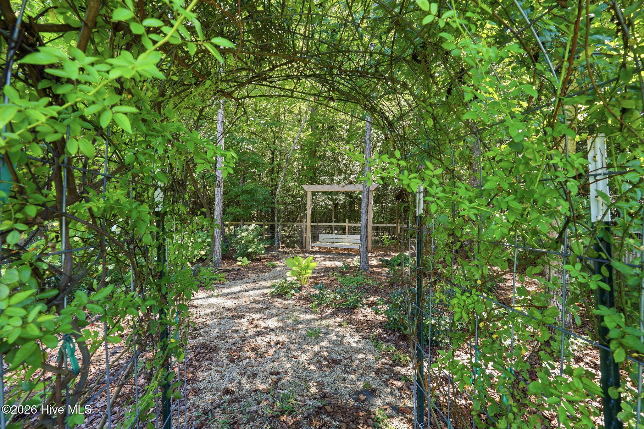 233 Forester Drive Property Photo 41