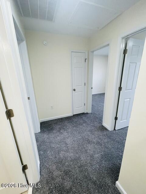 304 Comanche Trail Property Photo 16