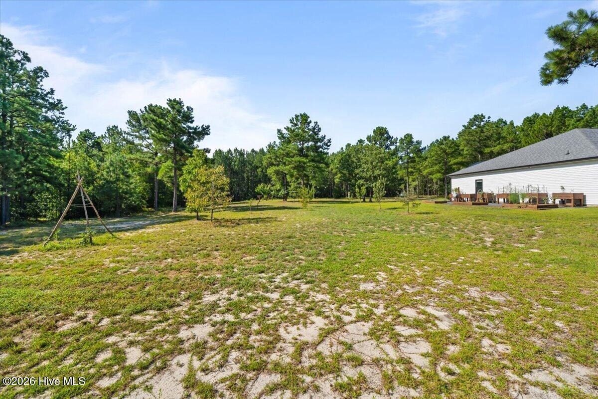 540 Prosperity Lane Property Photo 41