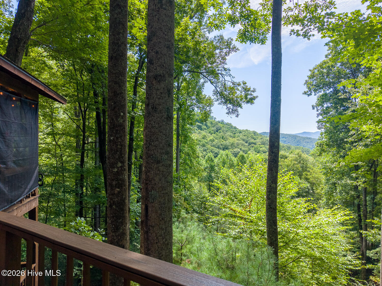 204 Mountain Laurel Drive Property Photo 64