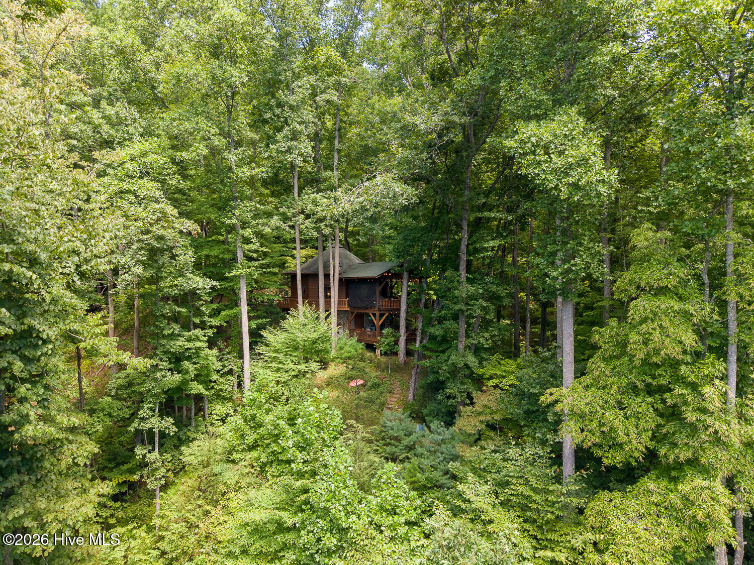 204 Mountain Laurel Drive Property Photo 65