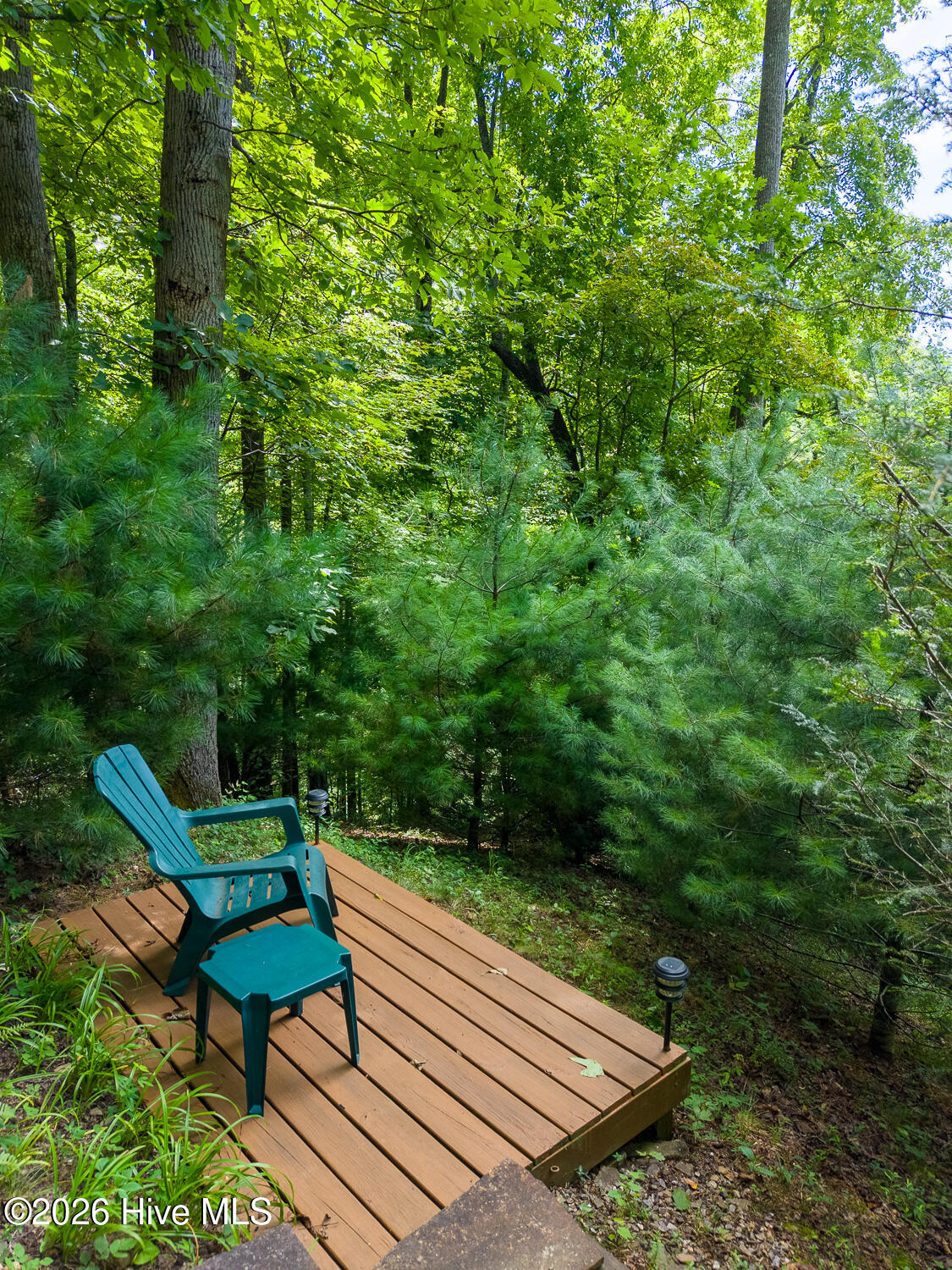 204 Mountain Laurel Drive Property Photo 70