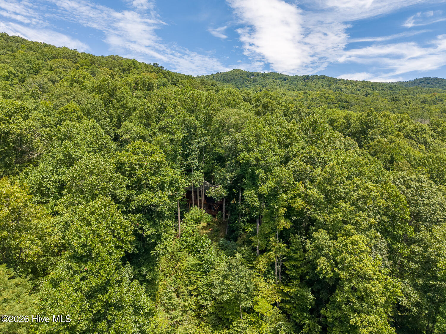 204 Mountain Laurel Drive Property Photo 71