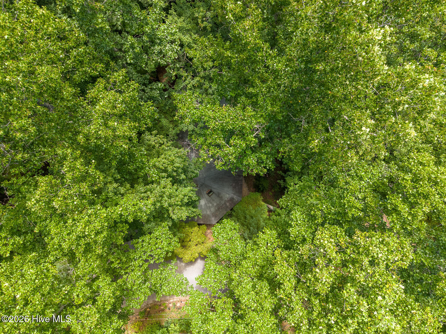 204 Mountain Laurel Drive Property Photo 73