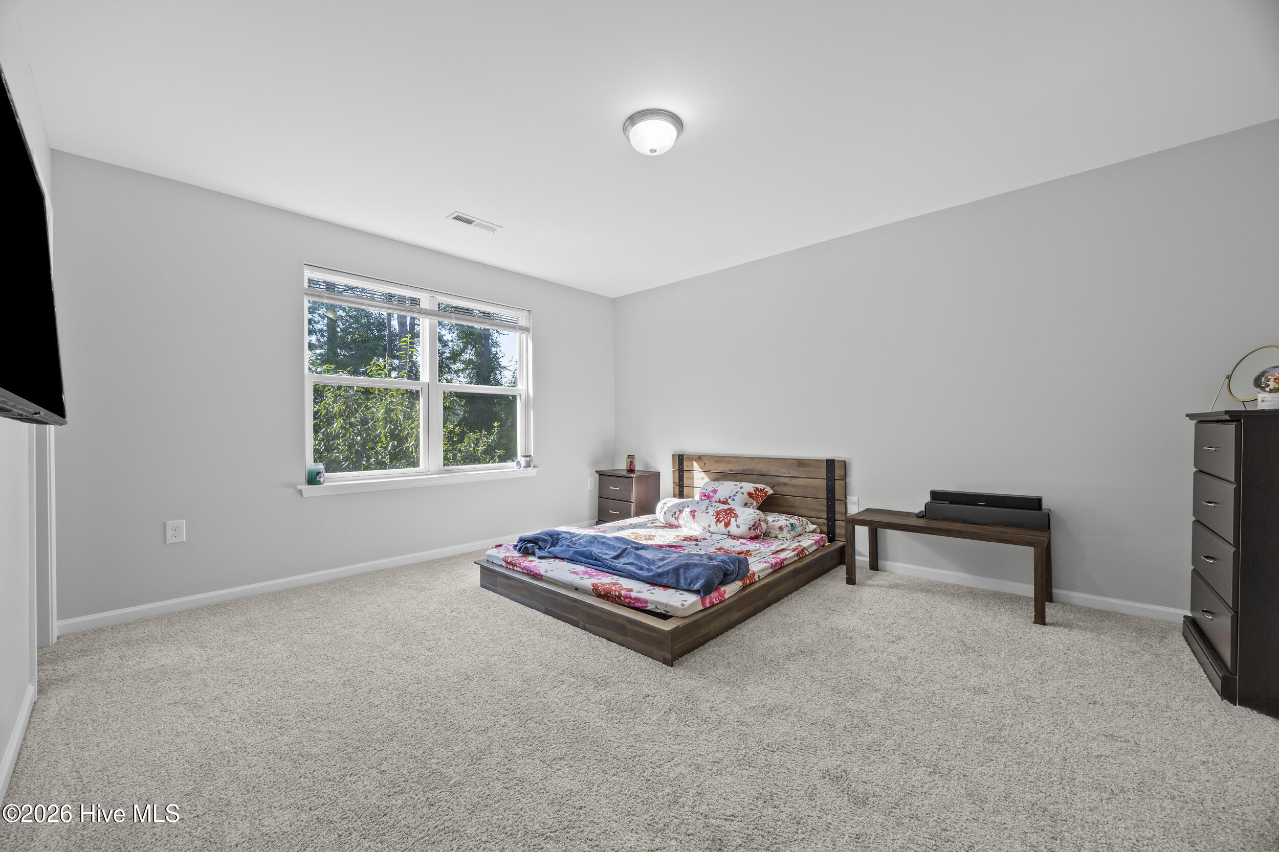 1007 Lake Jones Road Property Photo 29