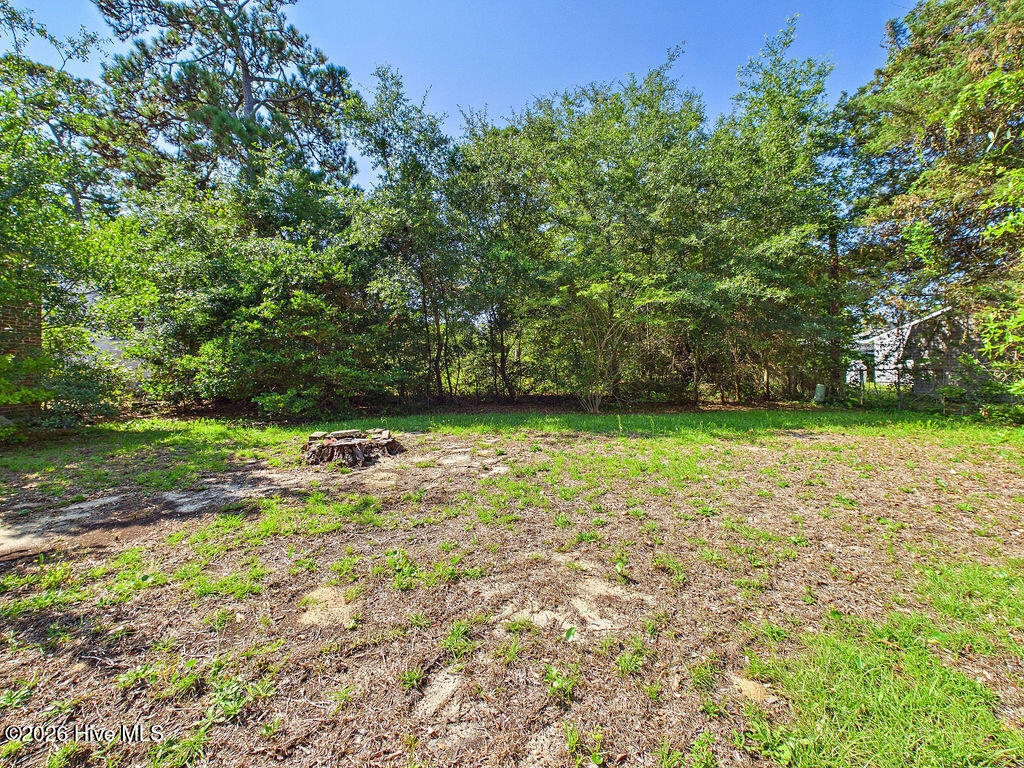 425 Norton Street Property Photo 39