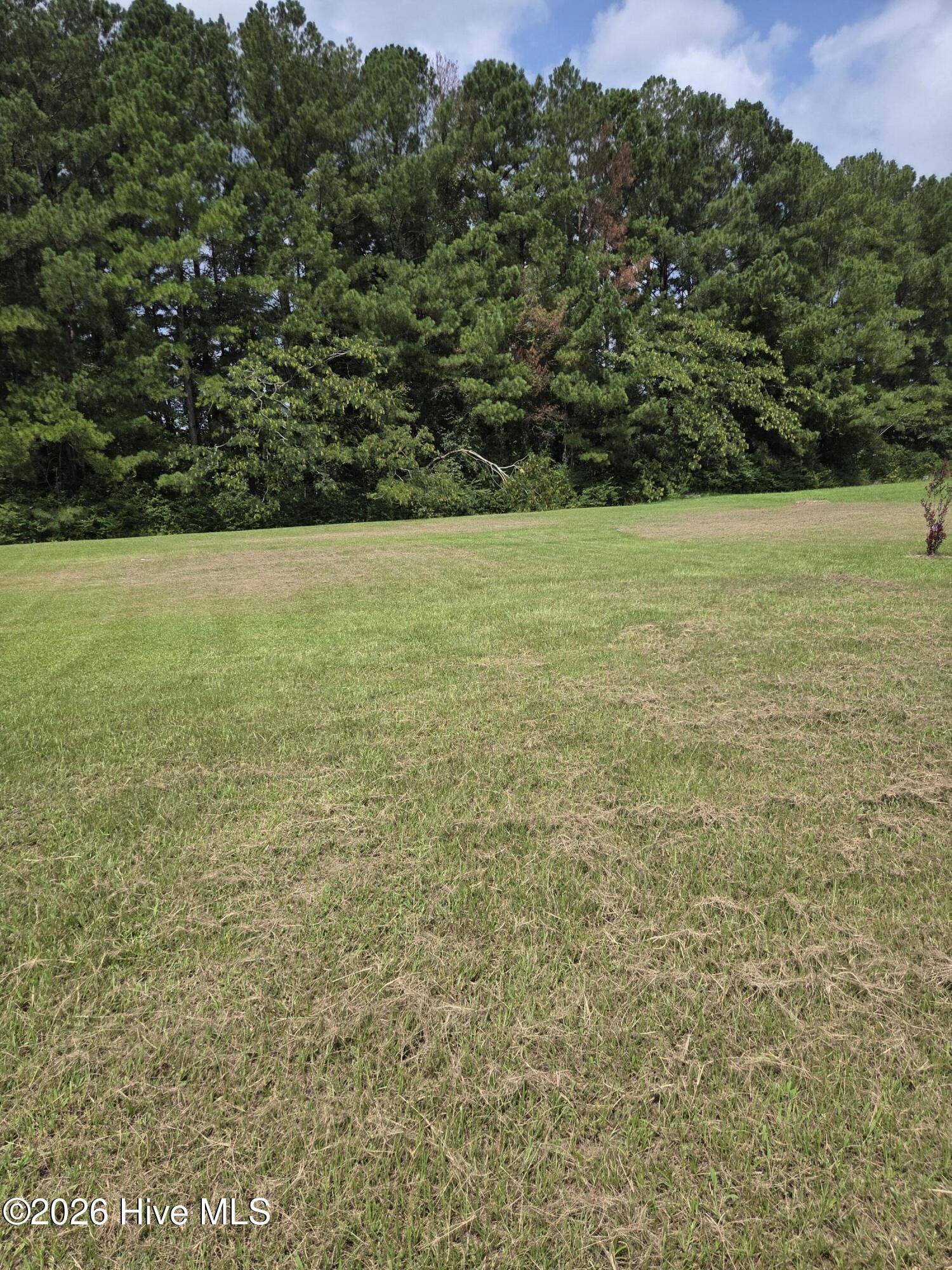 3302 Taylors Pointe Drive Property Photo 26