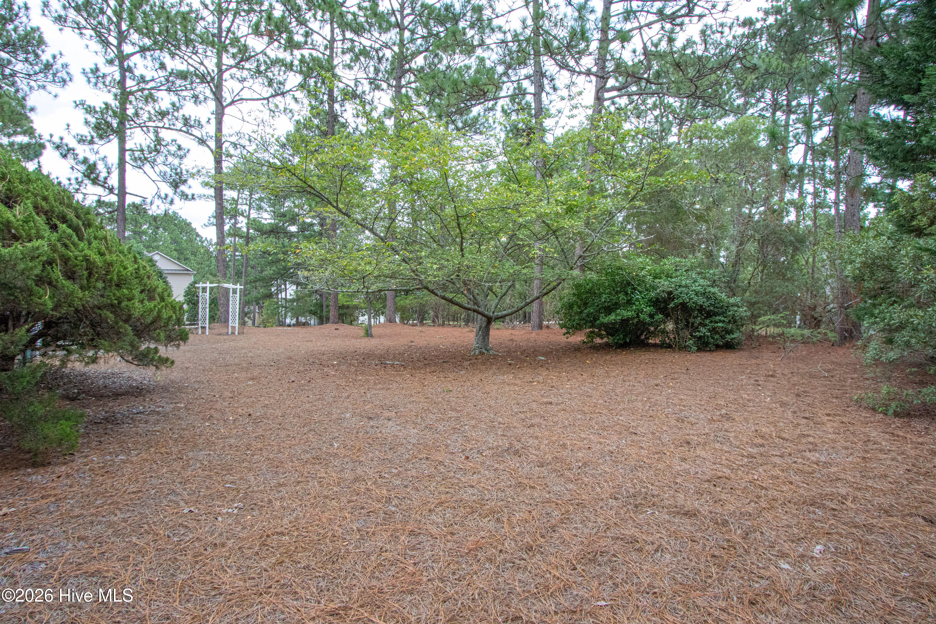 7 Overcup Lane Property Photo 40