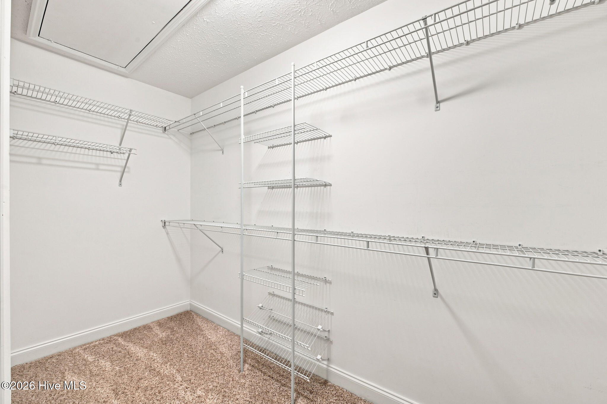 104 Uster Court Property Photo 23