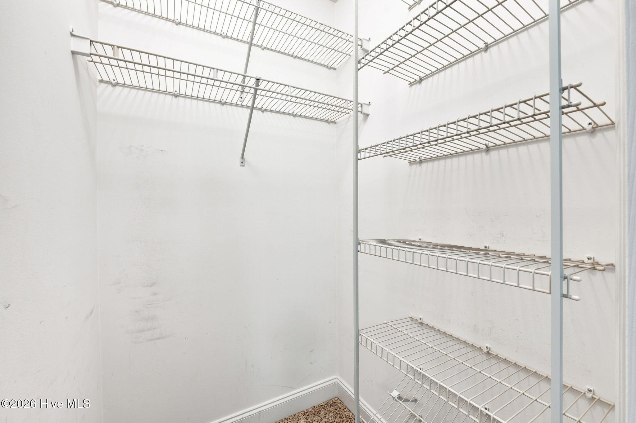 104 Uster Court Property Photo 27