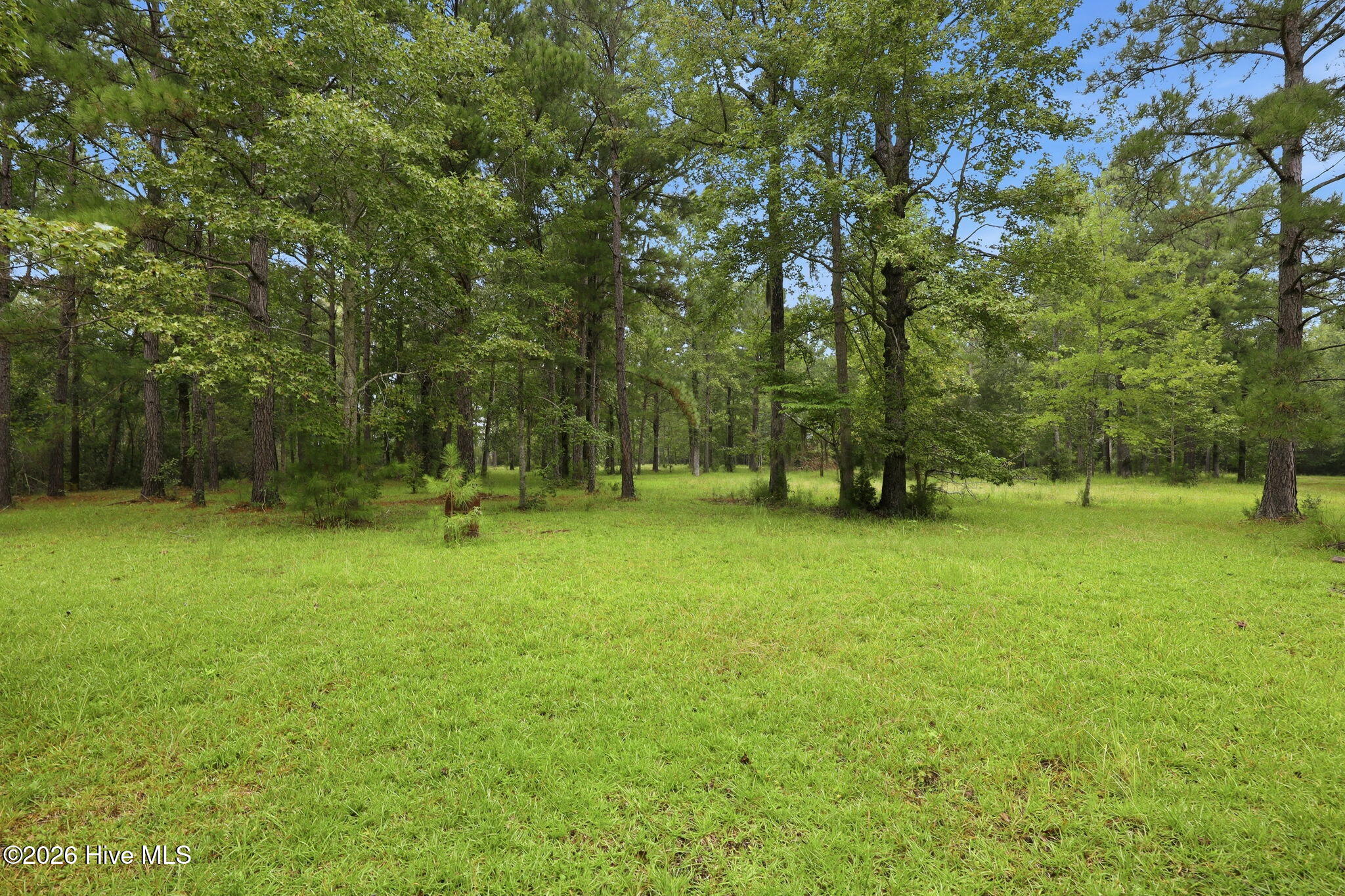 301 Seawell Farm Road Property Photo 26