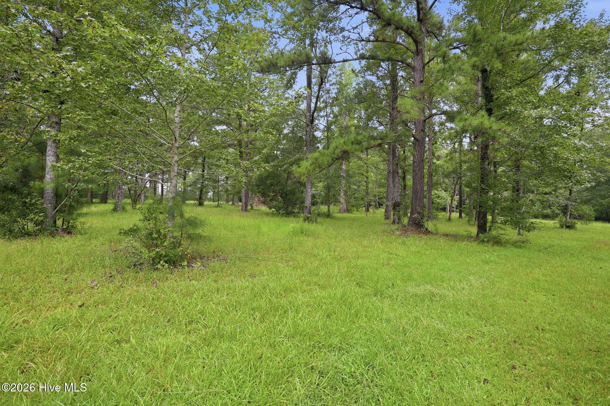 301 Seawell Farm Road Property Photo 30