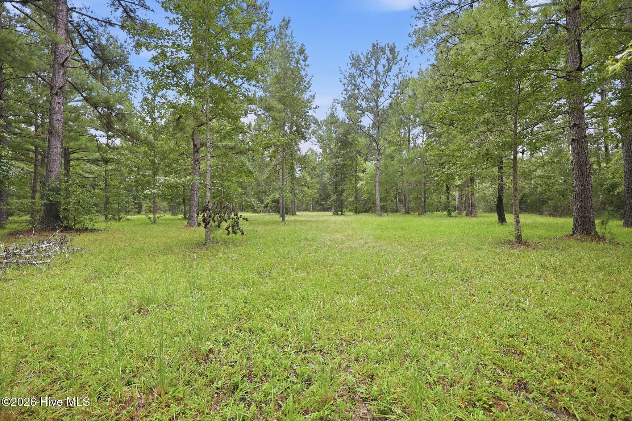 301 Seawell Farm Road Property Photo 31