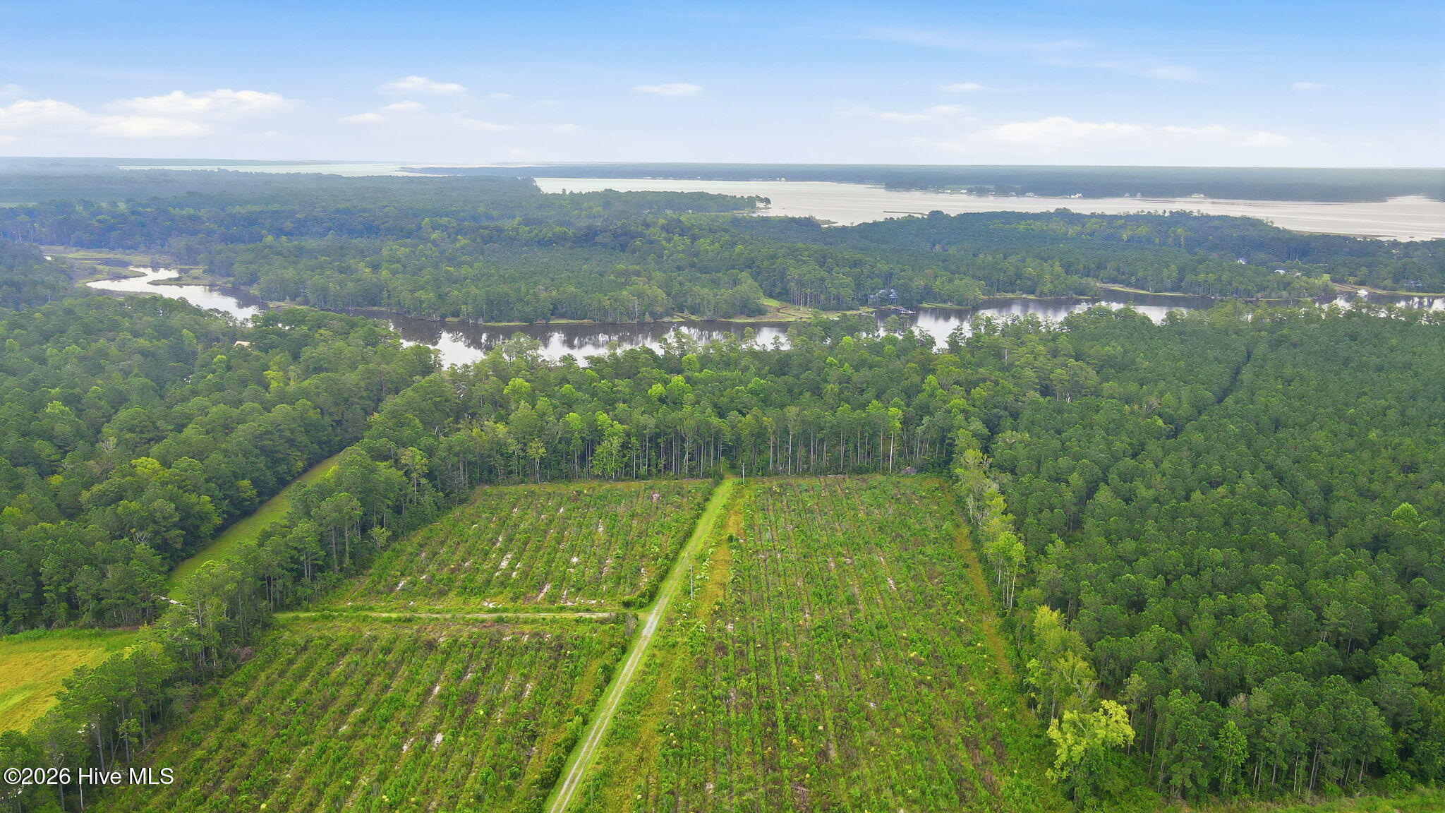 301 Seawell Farm Road Property Photo 43