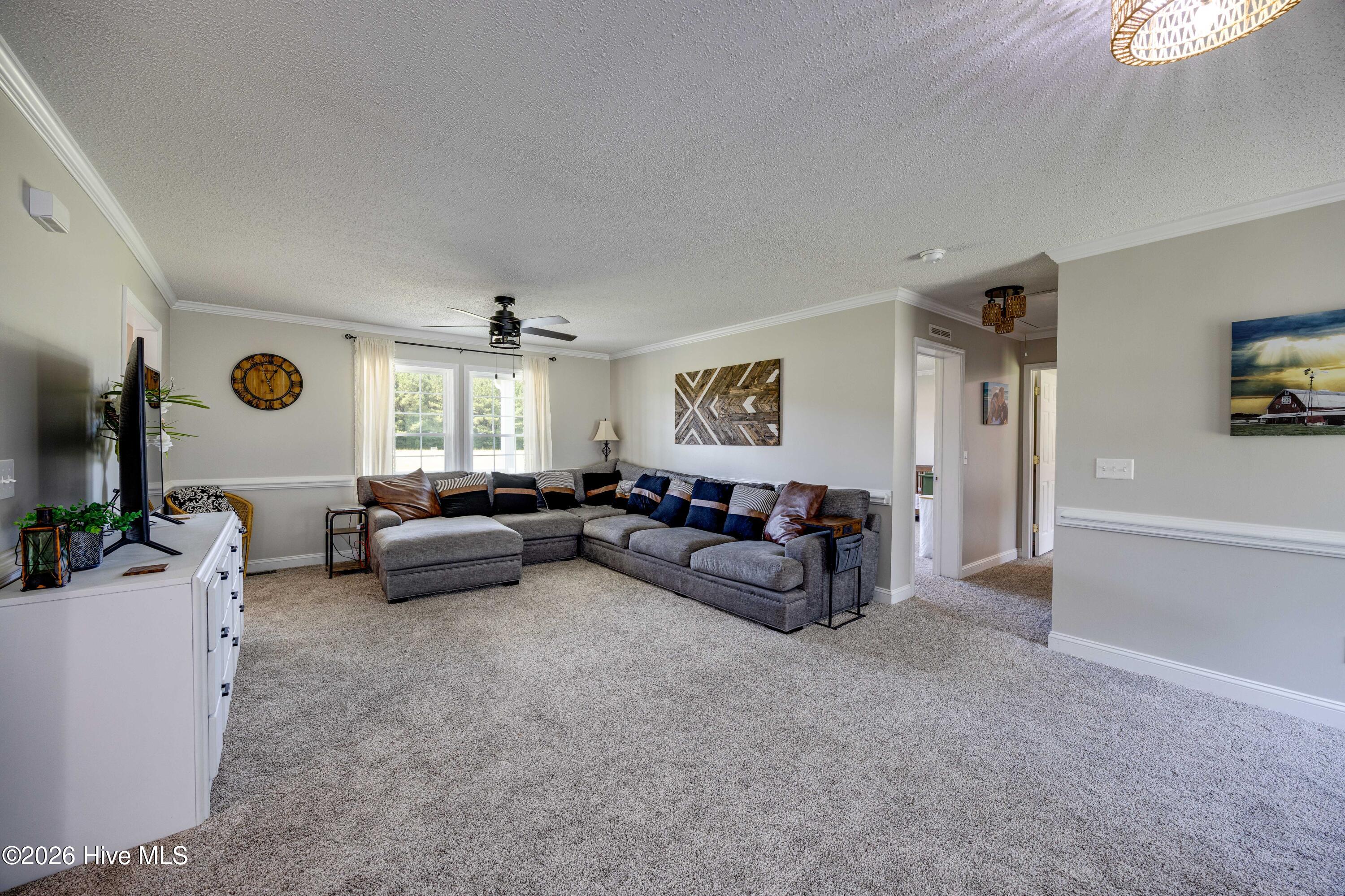 294 Godley Road Property Photo 7