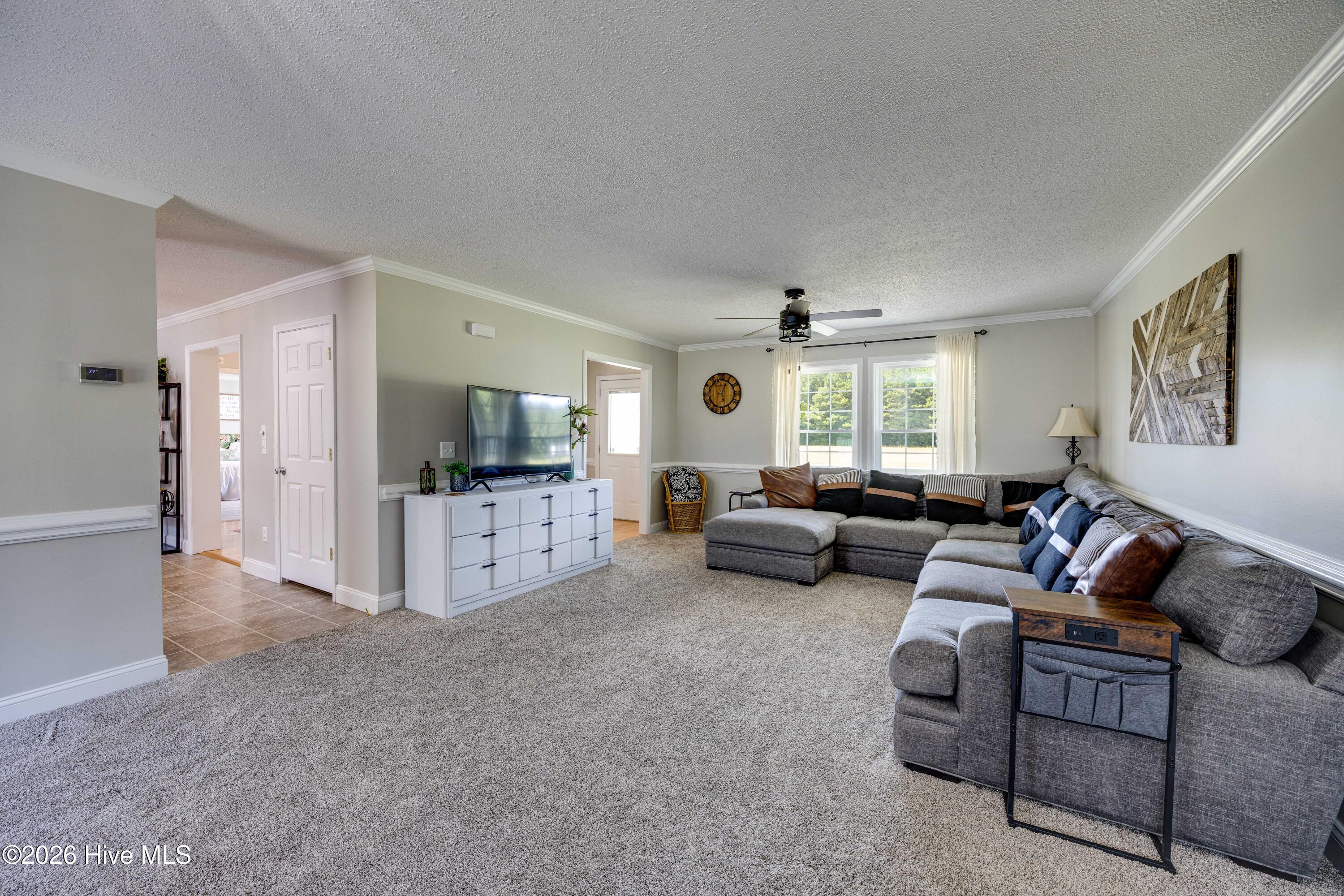 294 Godley Road Property Photo 8