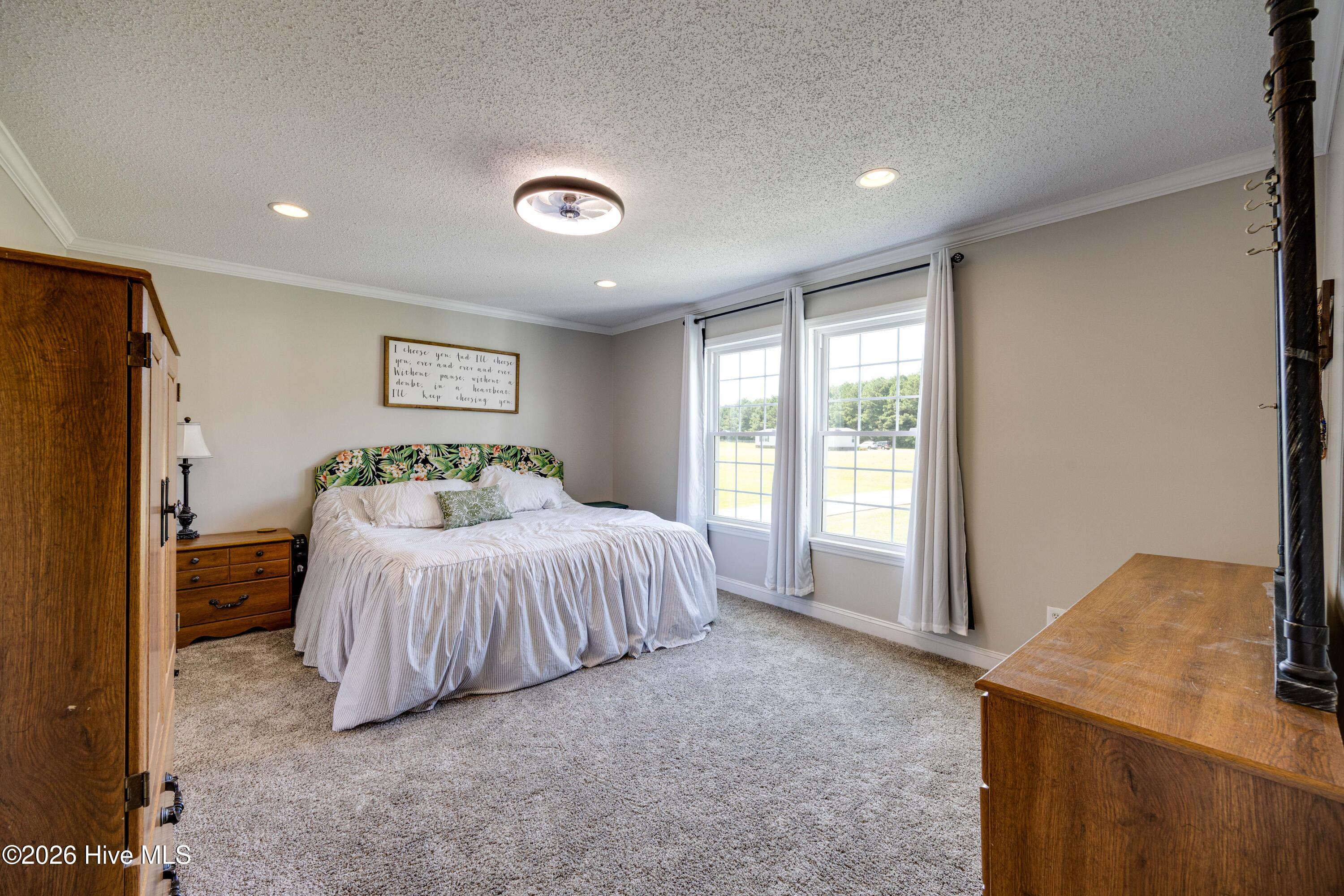 294 Godley Road Property Photo 19