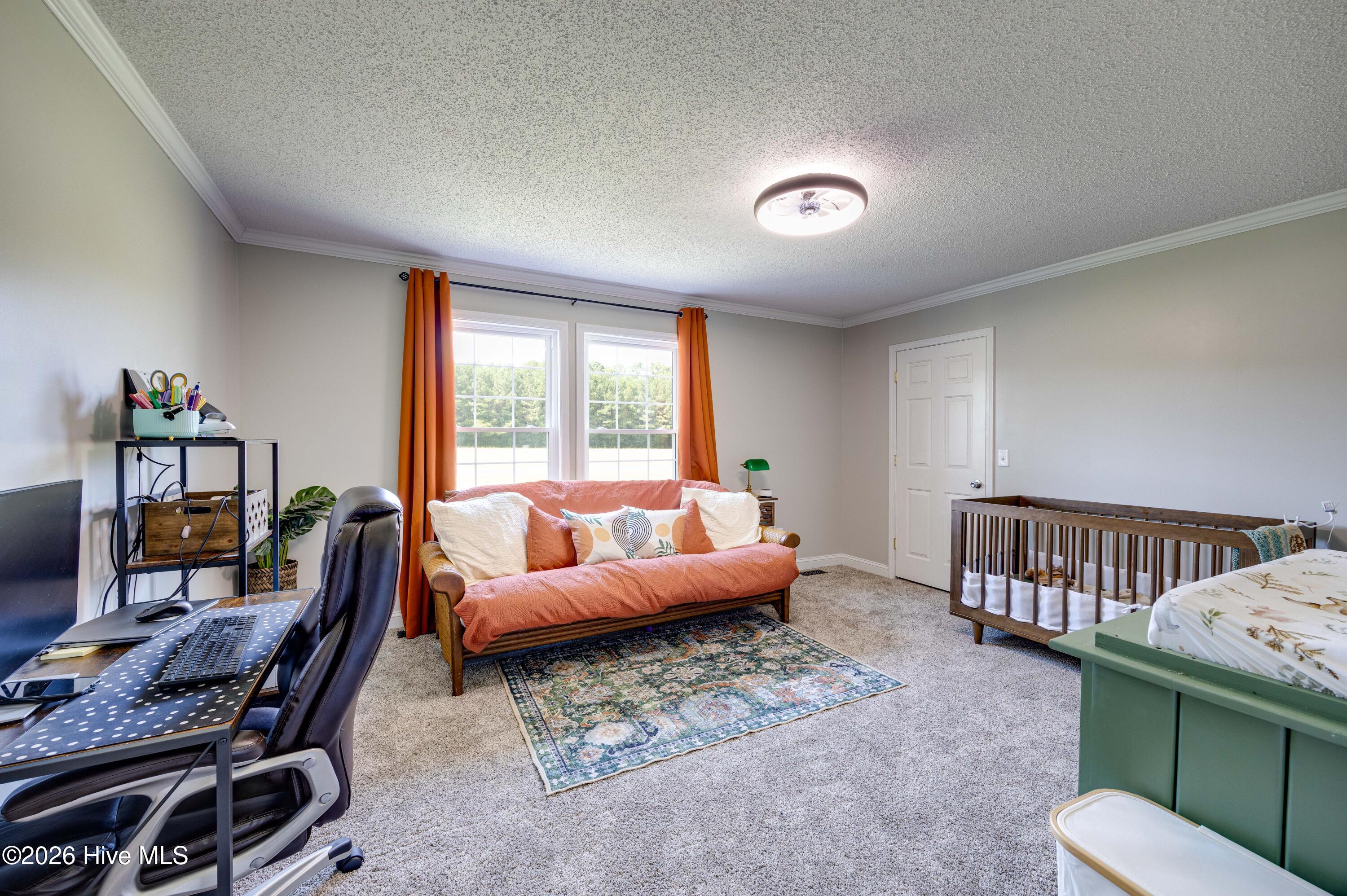 294 Godley Road Property Photo 28