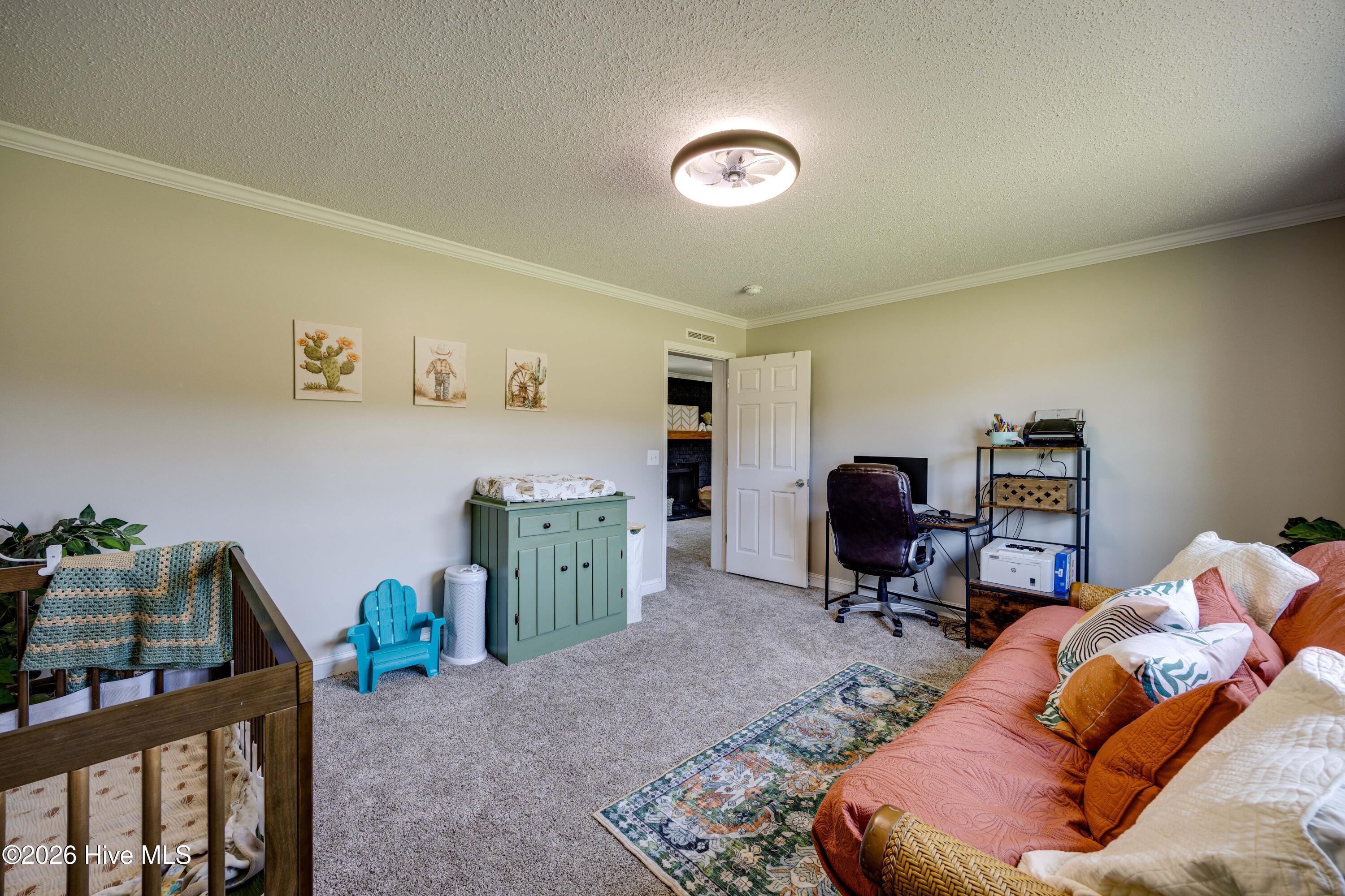 294 Godley Road Property Photo 29
